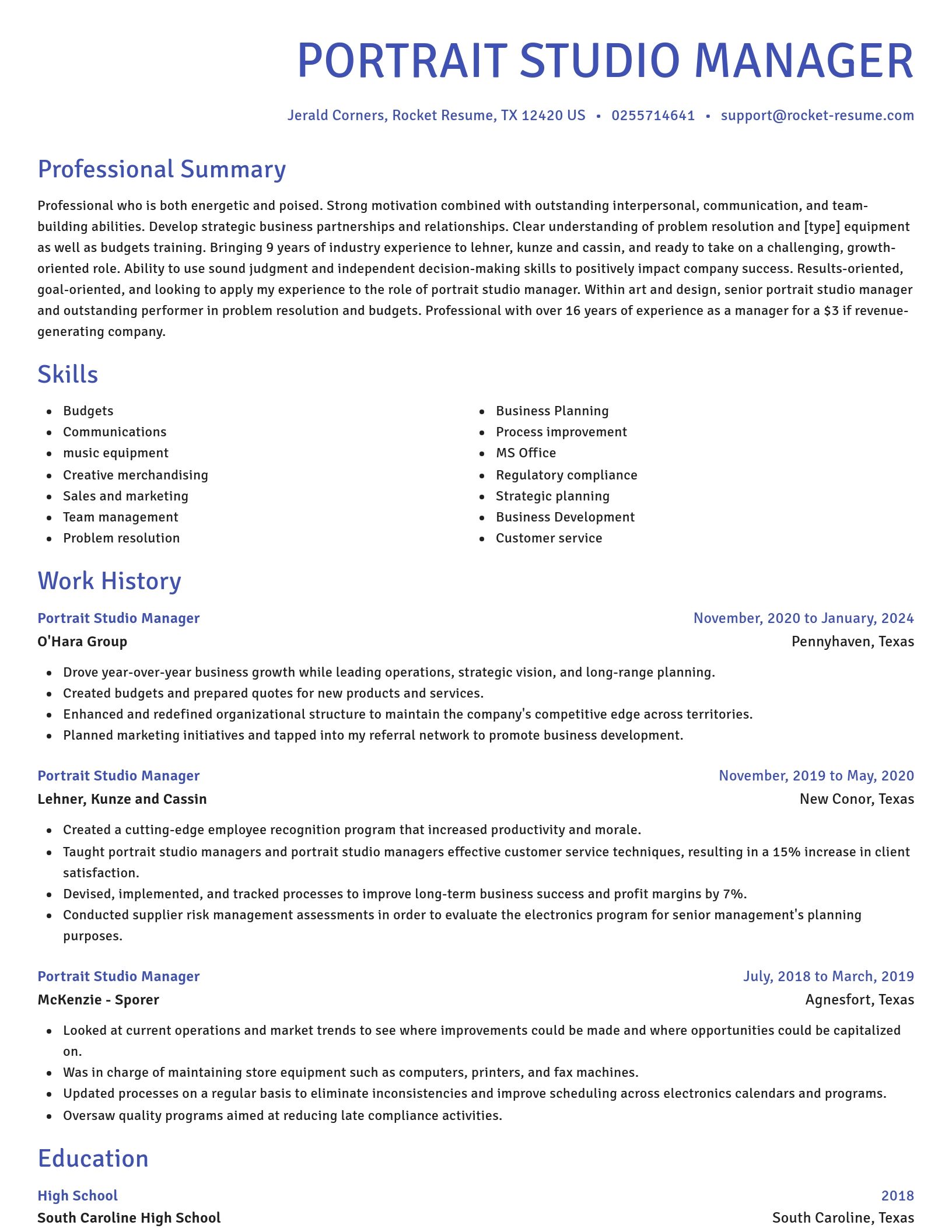 Novel resume template