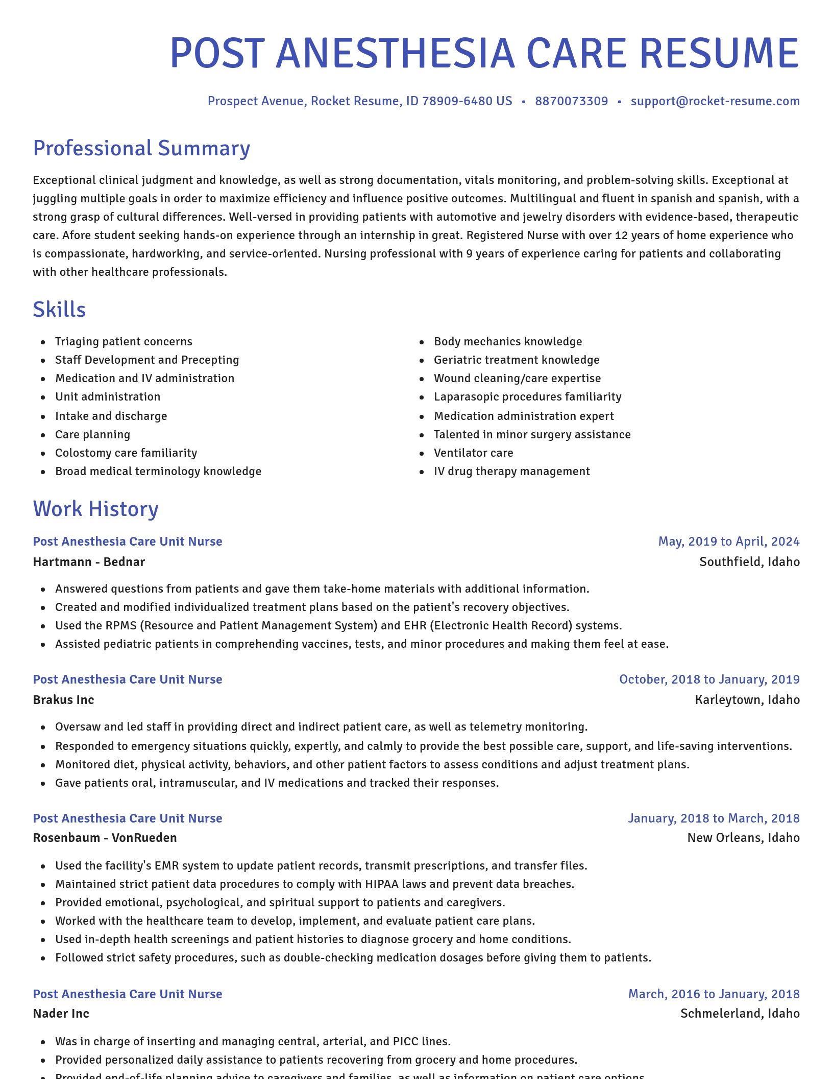 Novel resume template