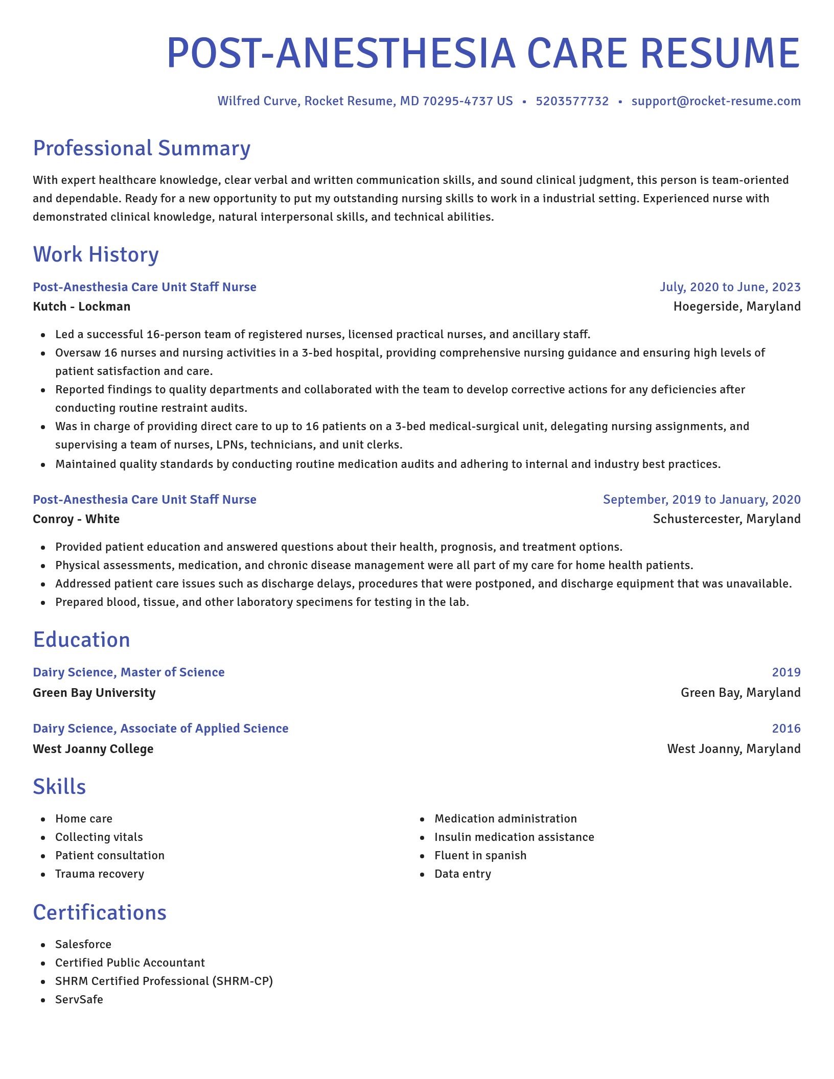 Novel resume template