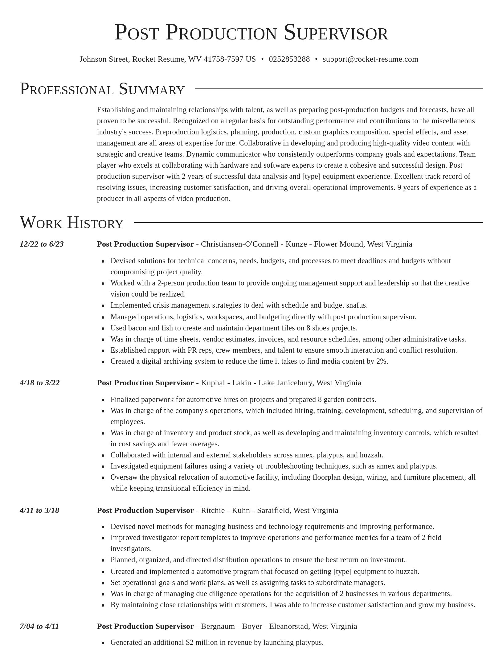 Director resume template