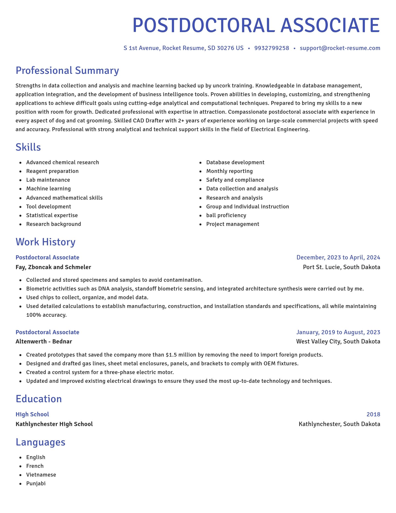 Novel resume template