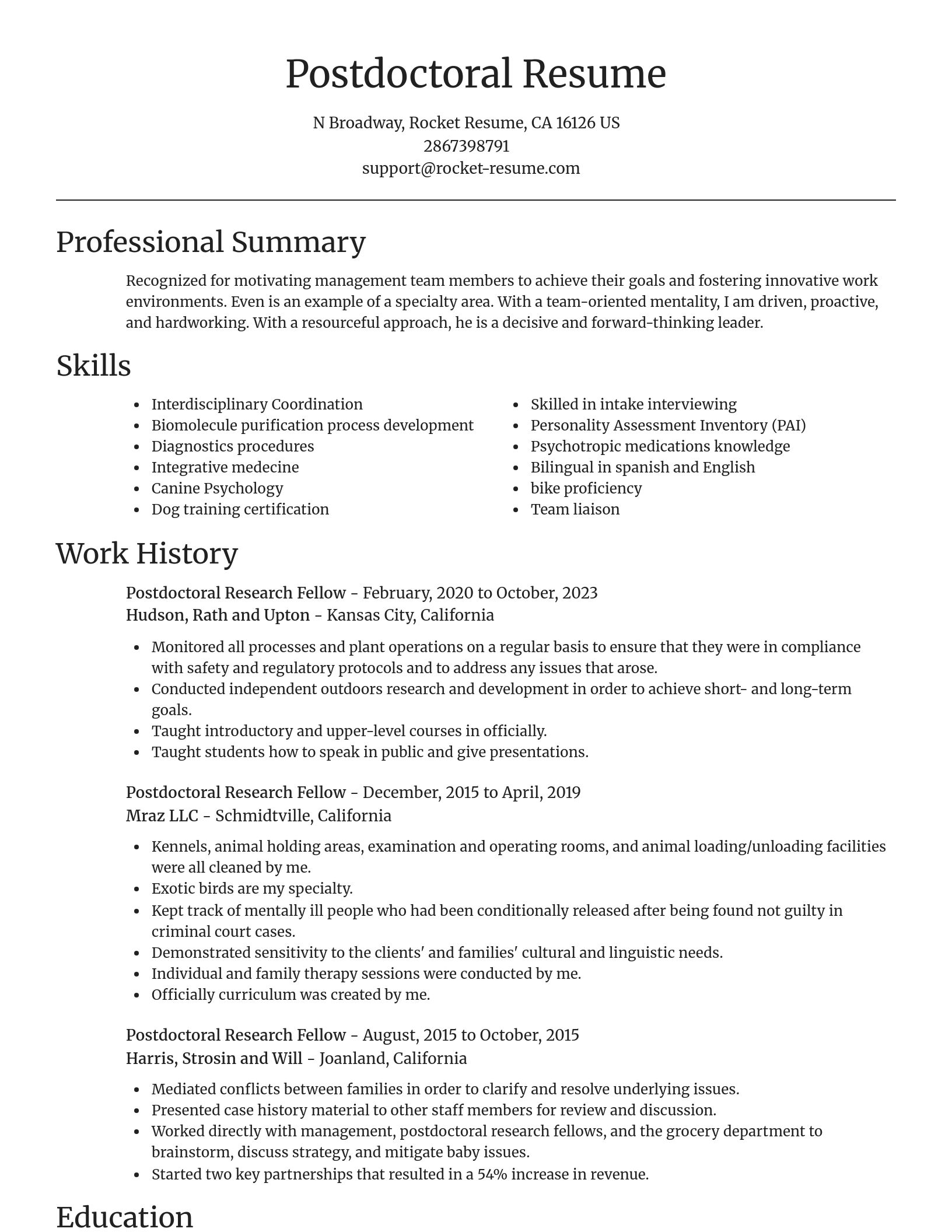 Focal Point resume template