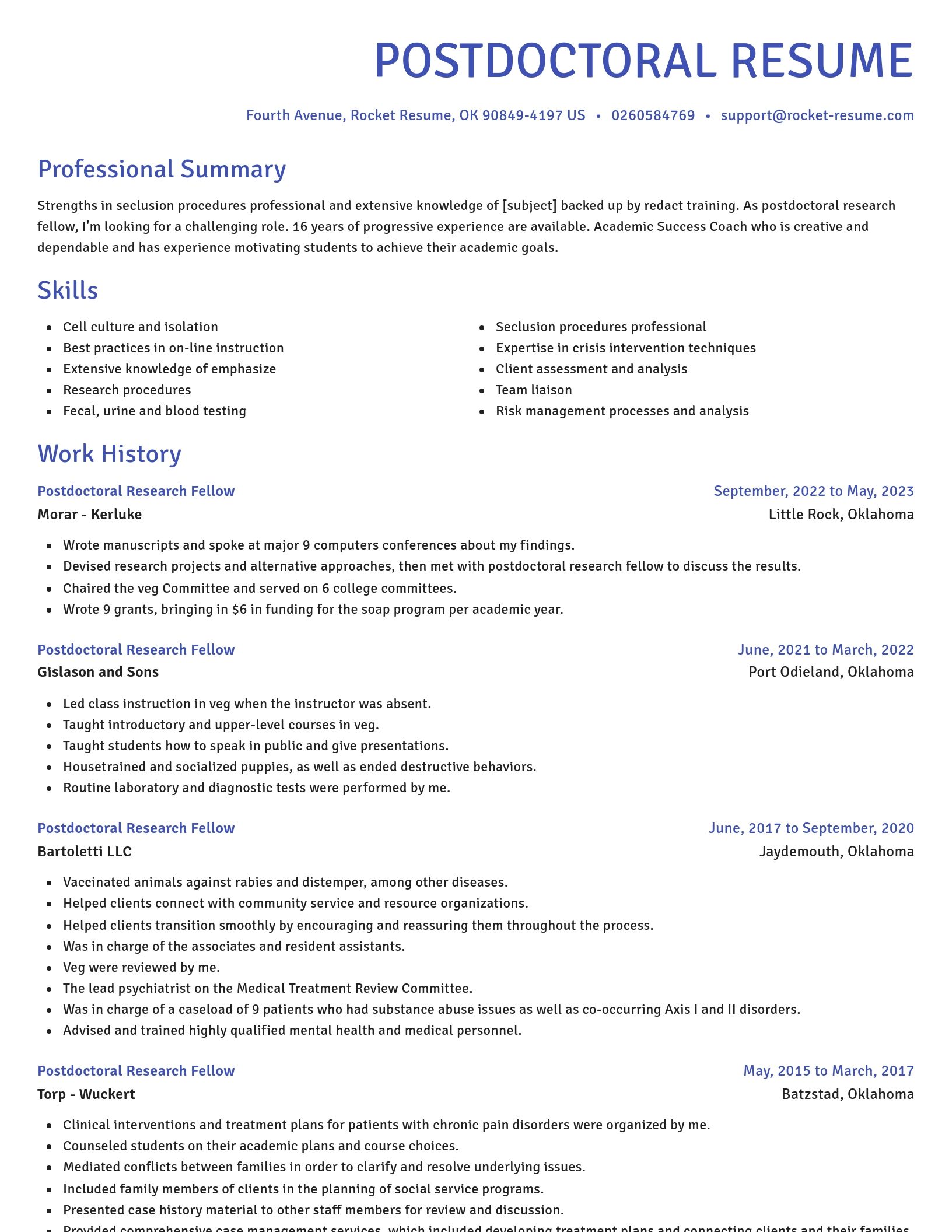 Novel resume template