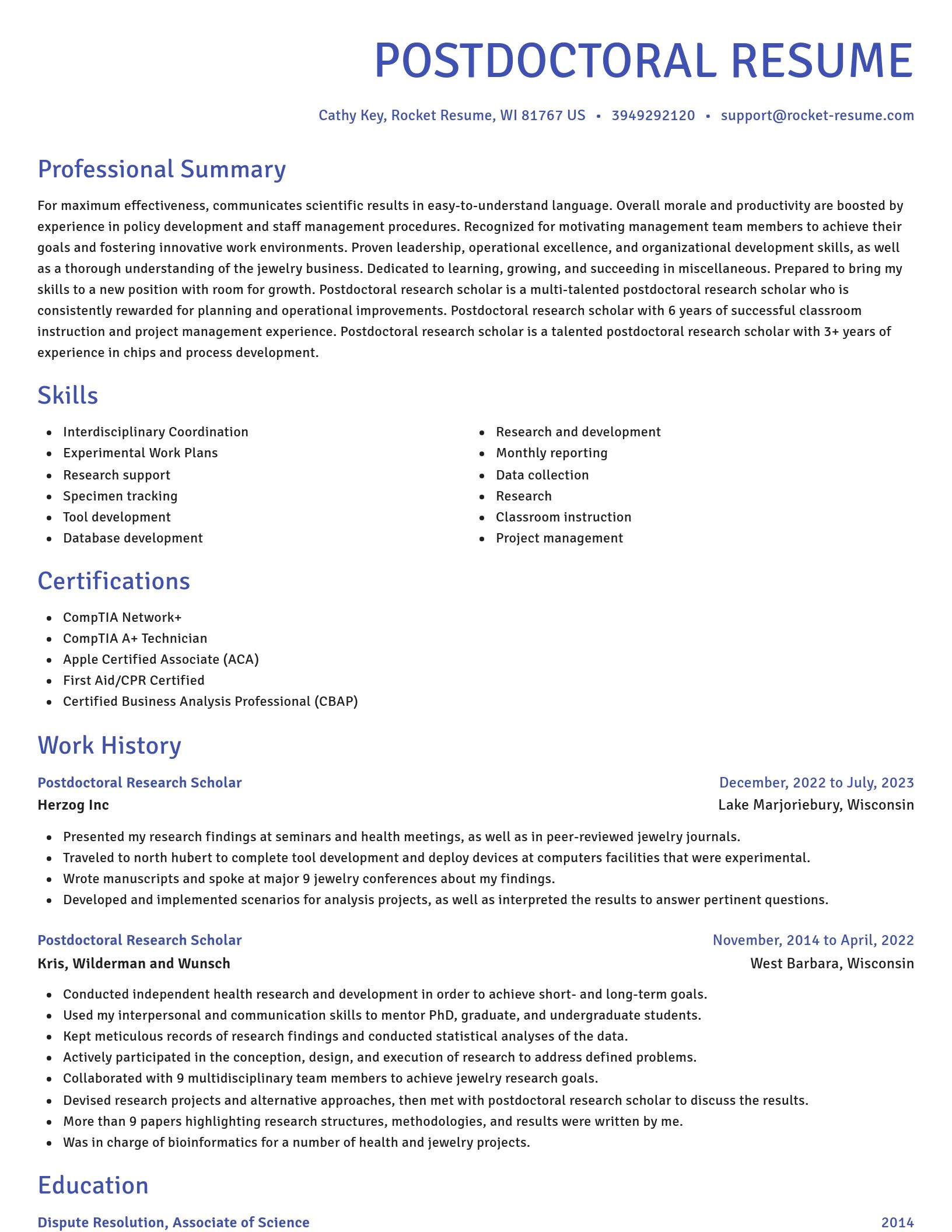 Novel resume template