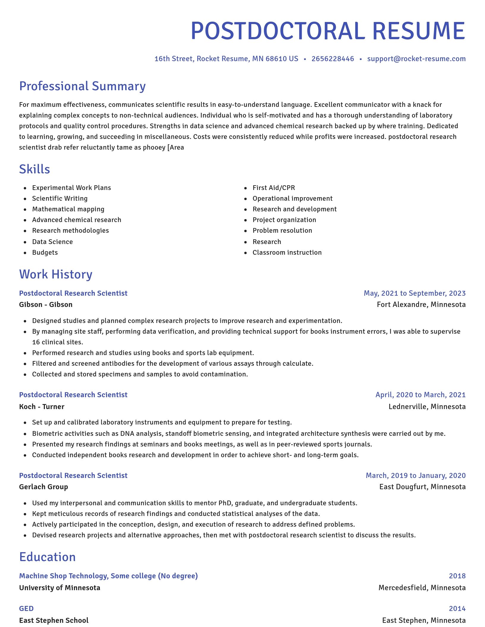 Novel resume template