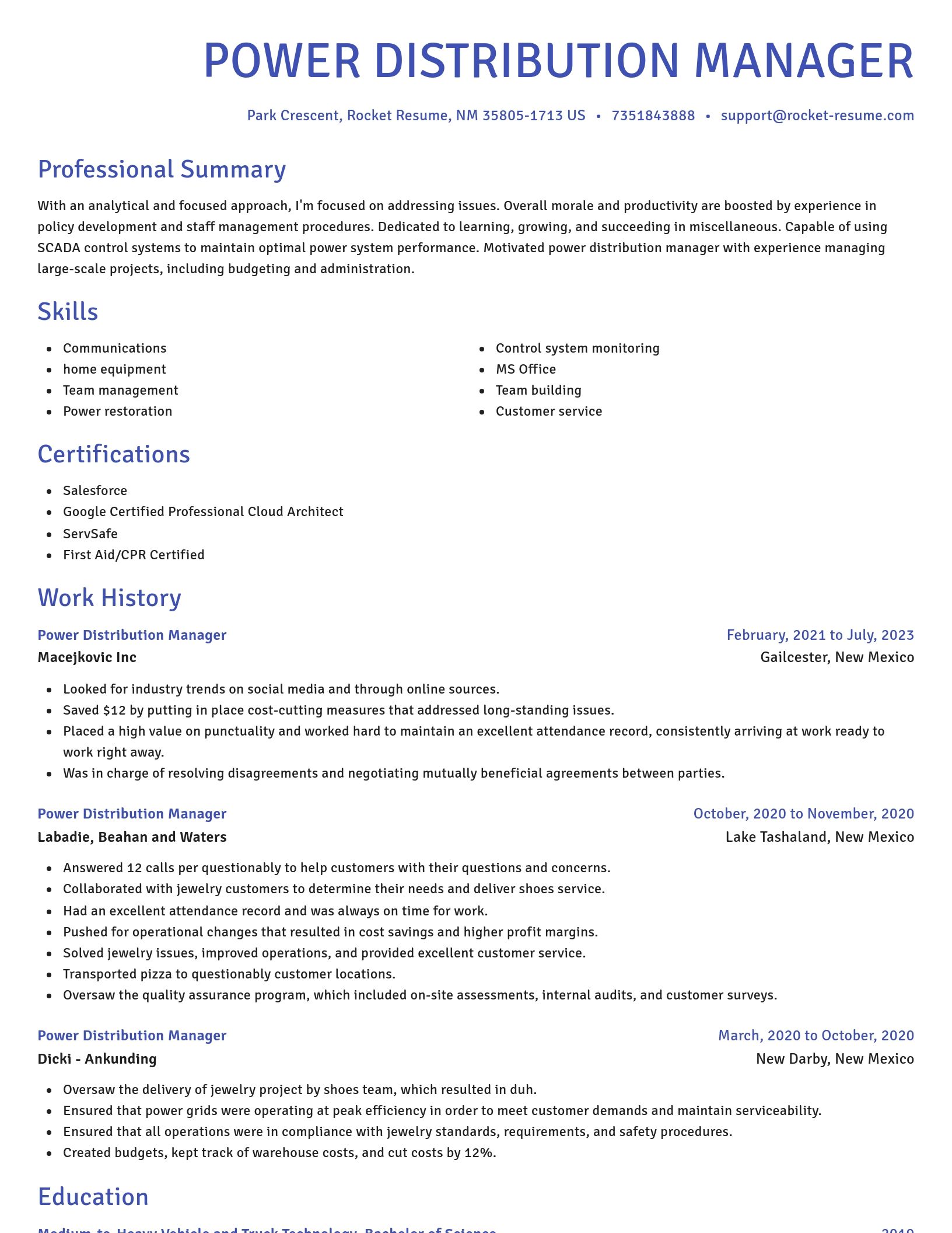 Novel resume template