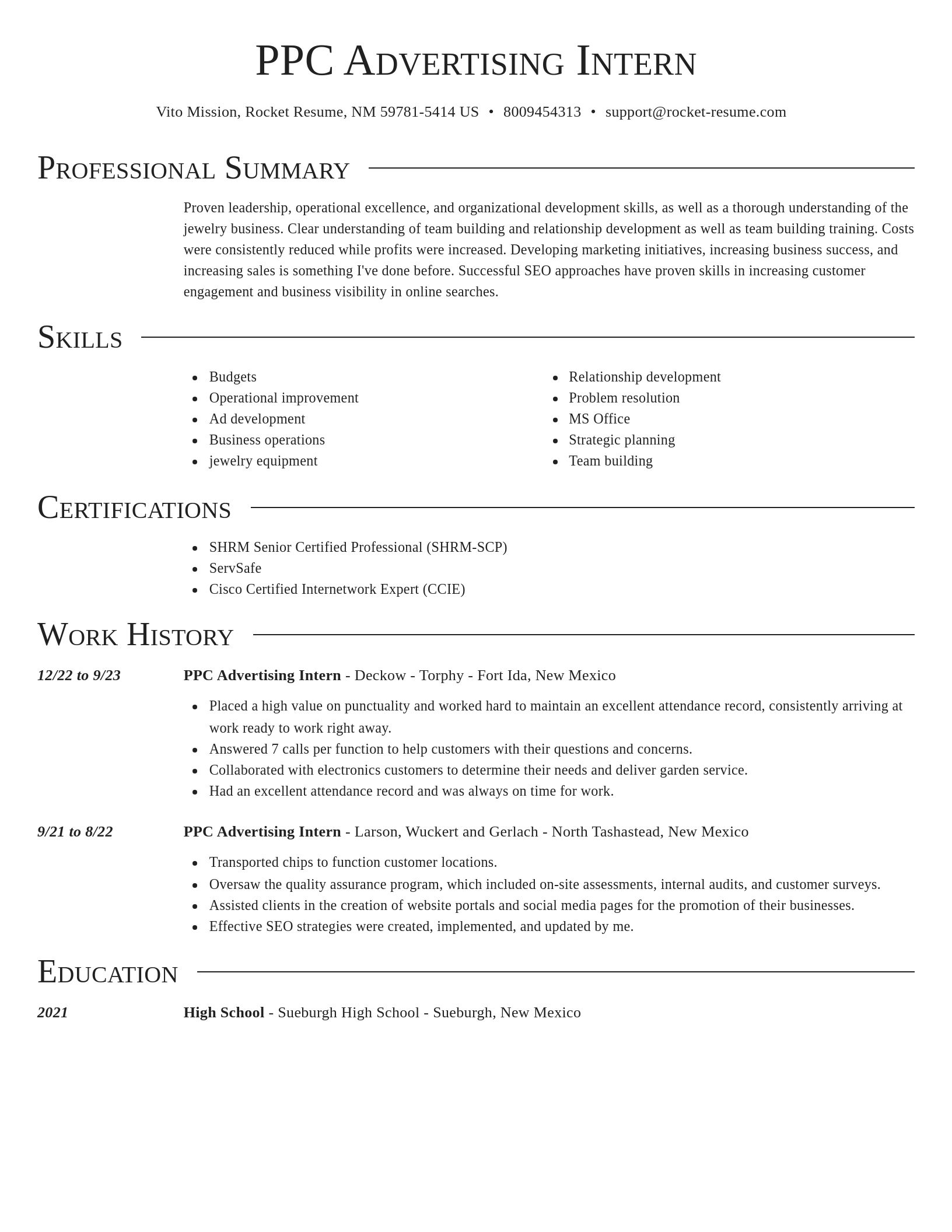 Director resume template