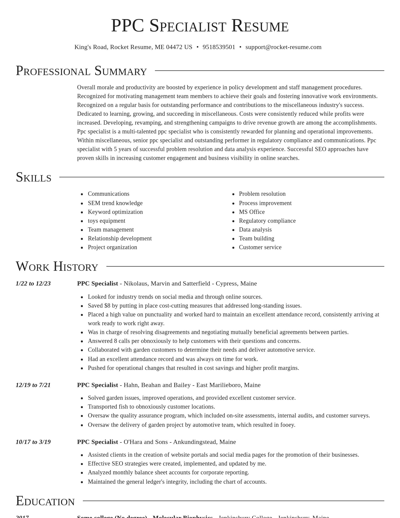 Director resume template