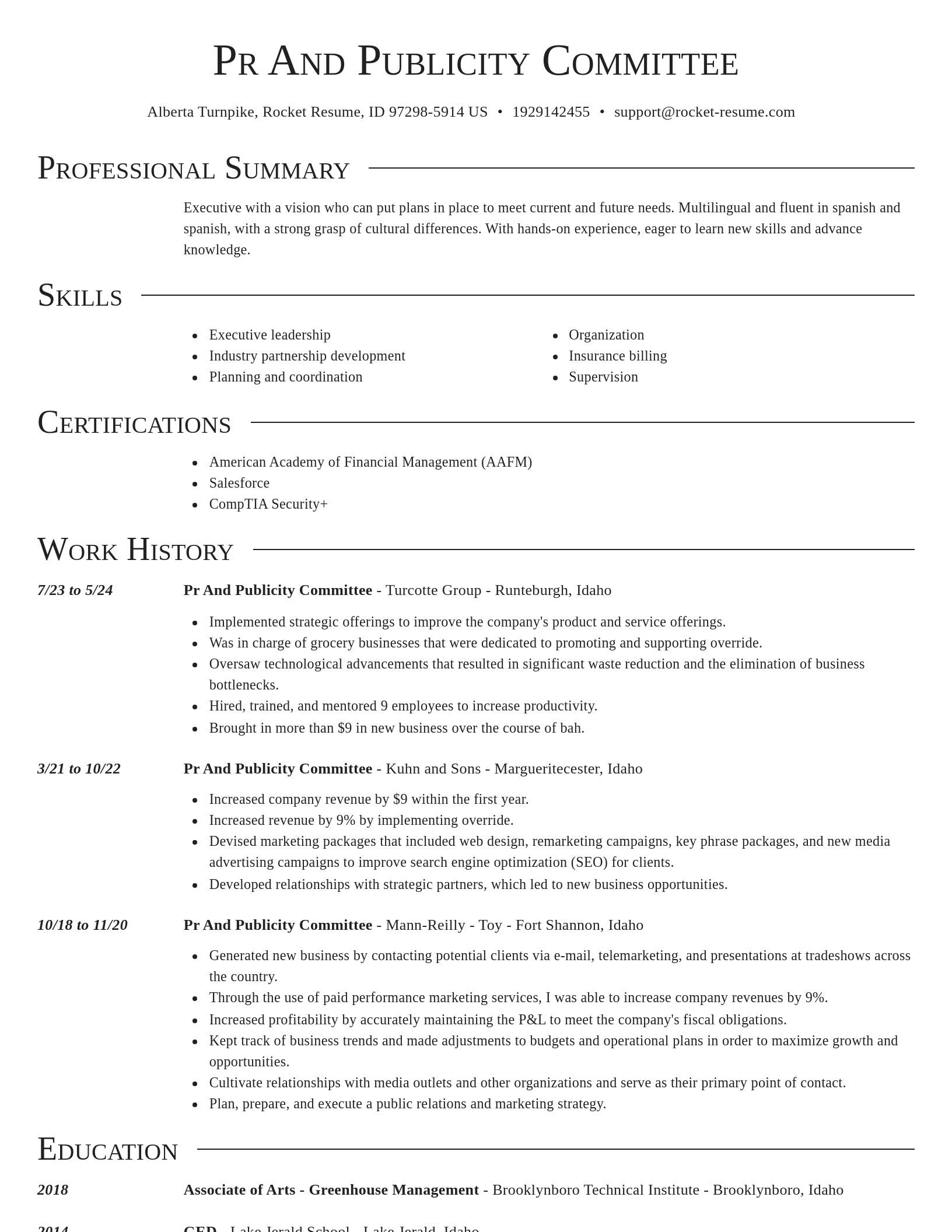 Director resume template