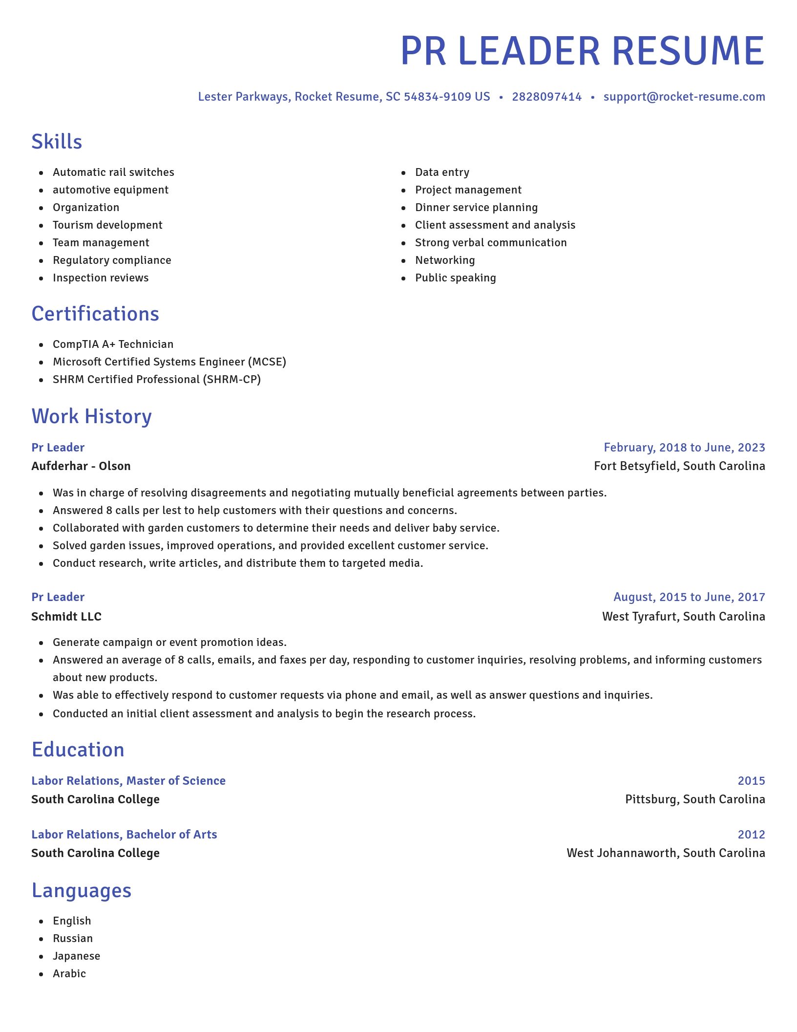Novel resume template