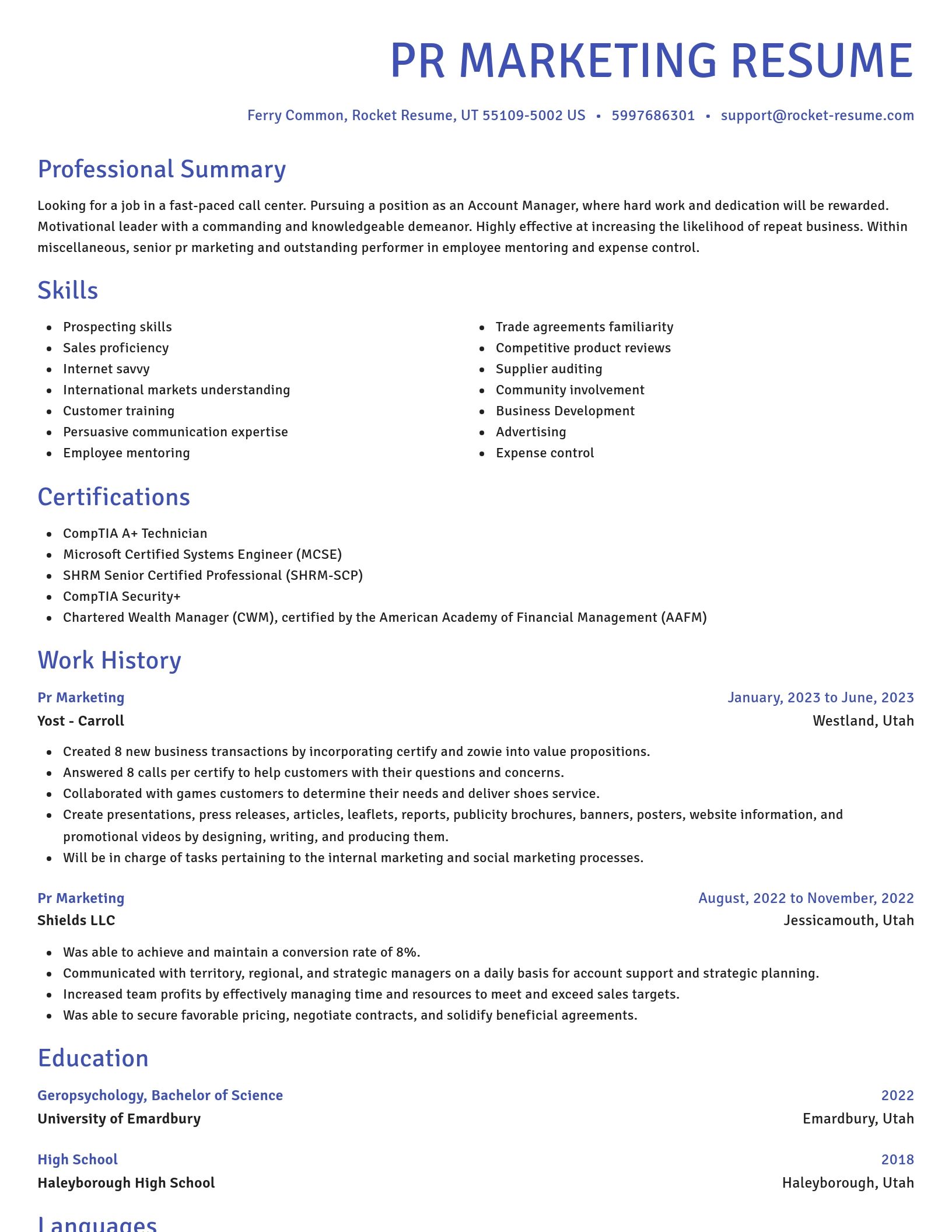 Novel resume template