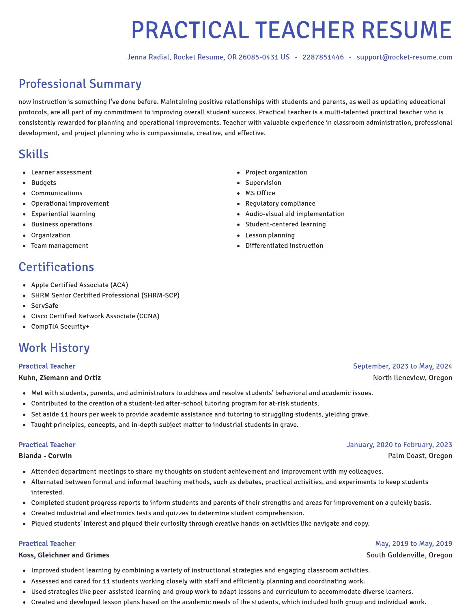 Novel resume template