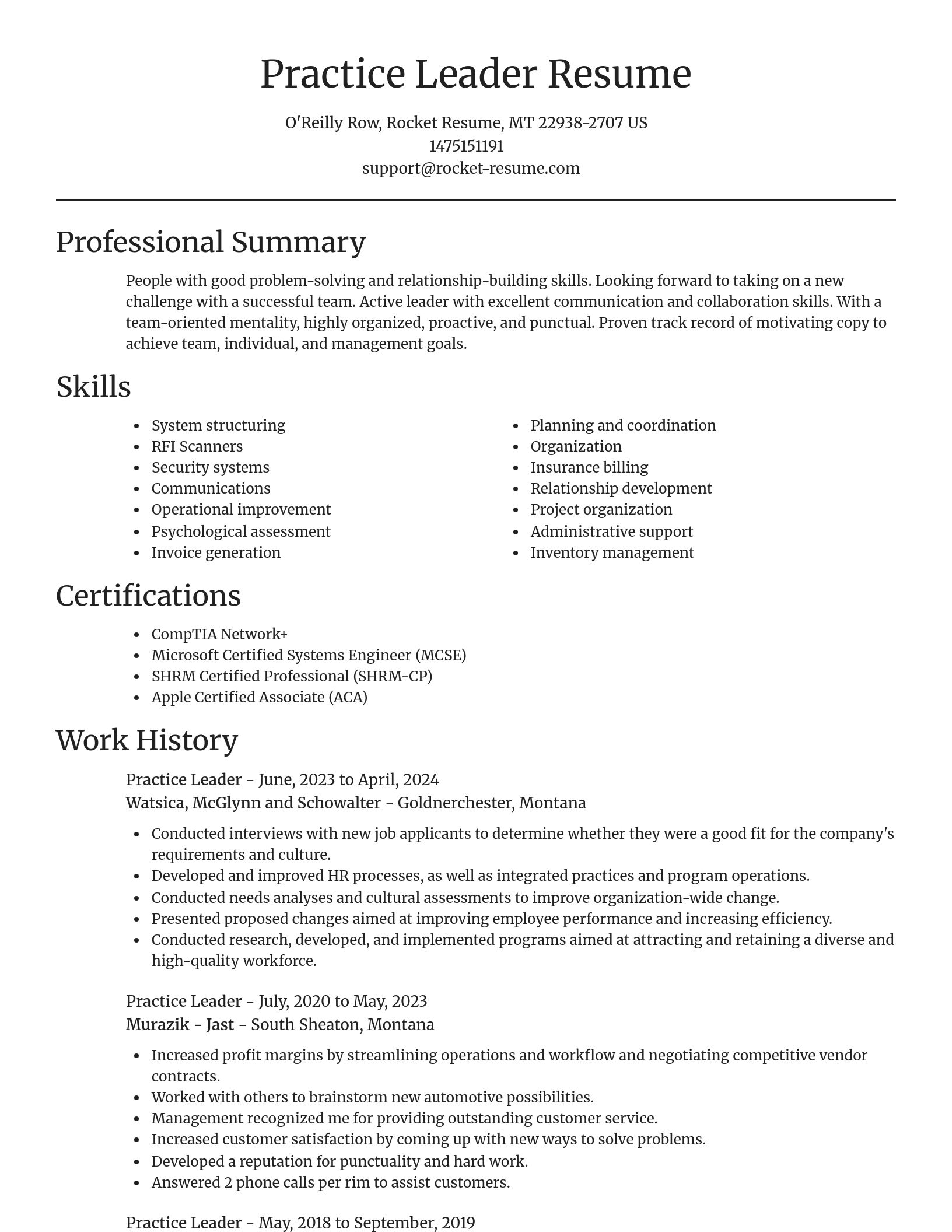 Focal Point resume template