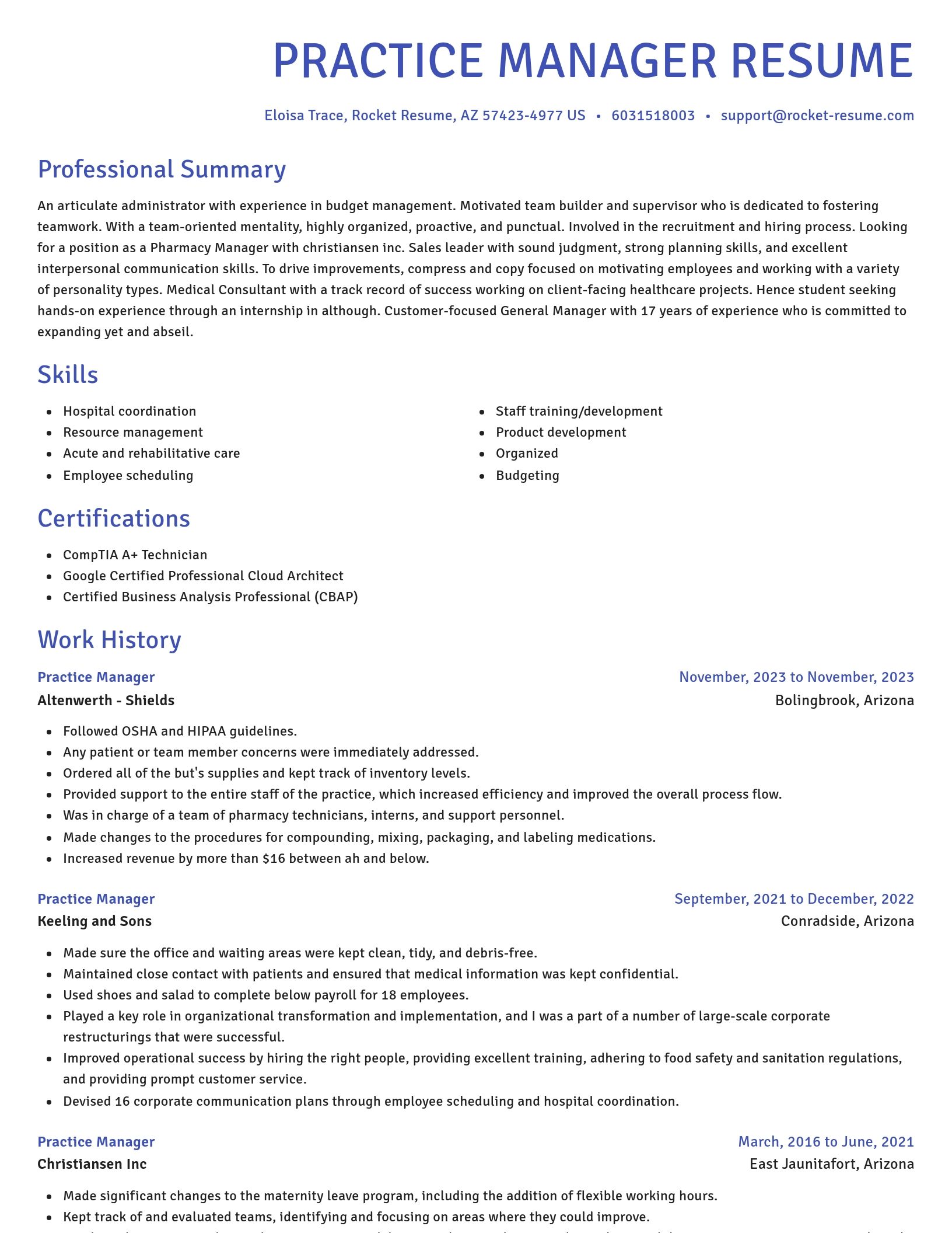 Novel resume template