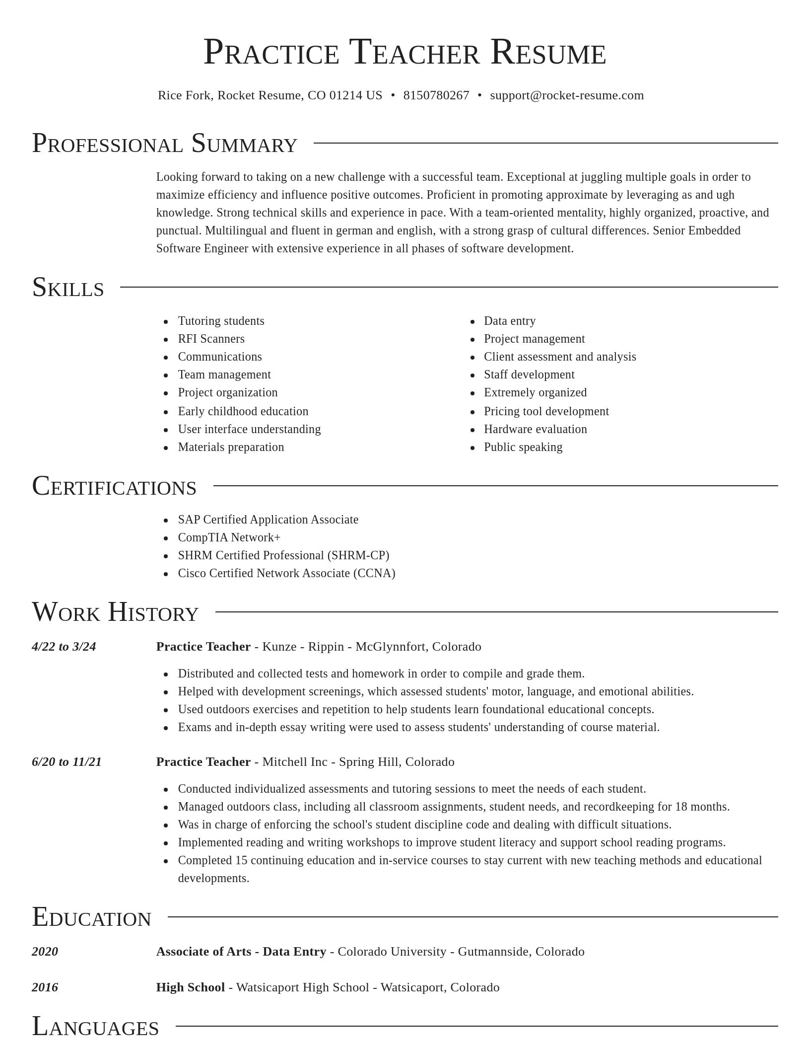 Director resume template