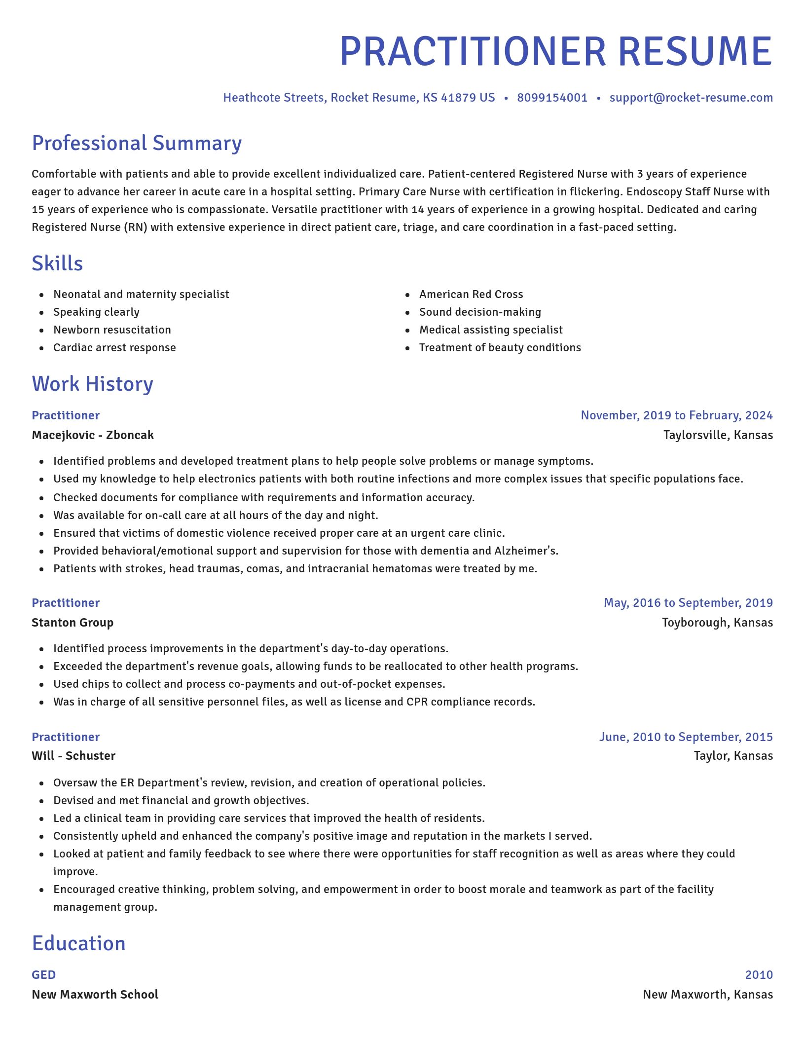 Novel resume template