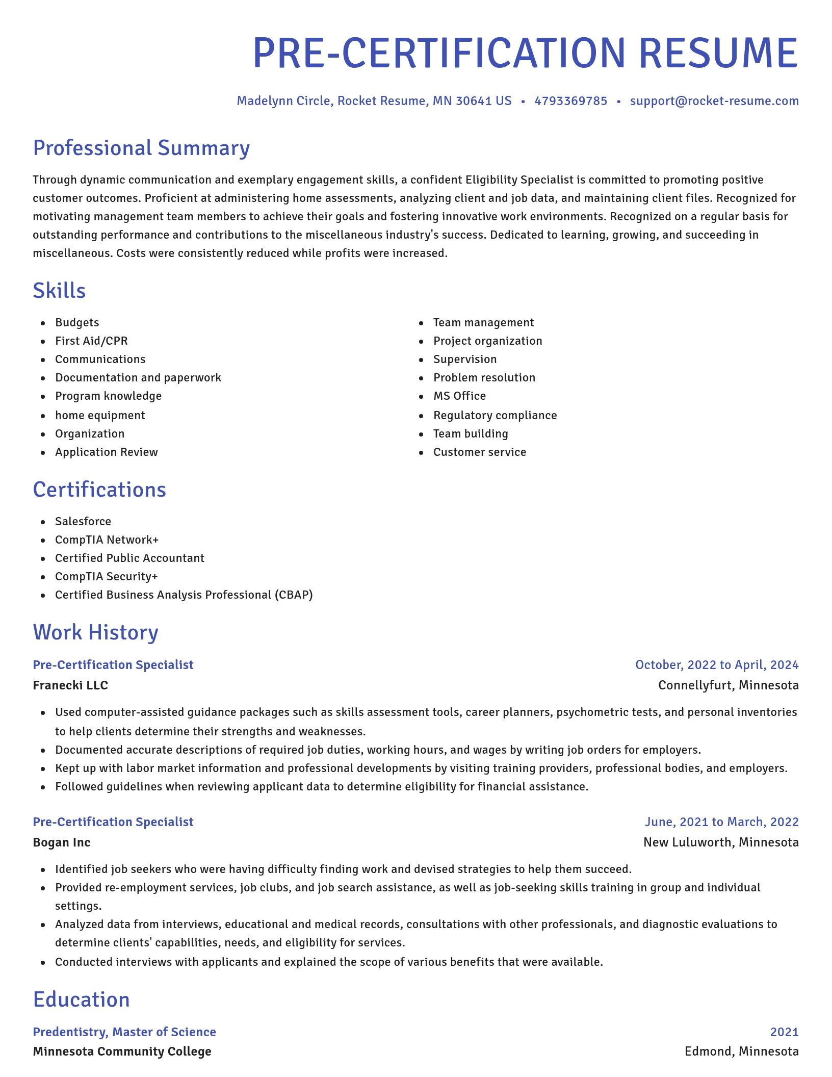 Novel resume template