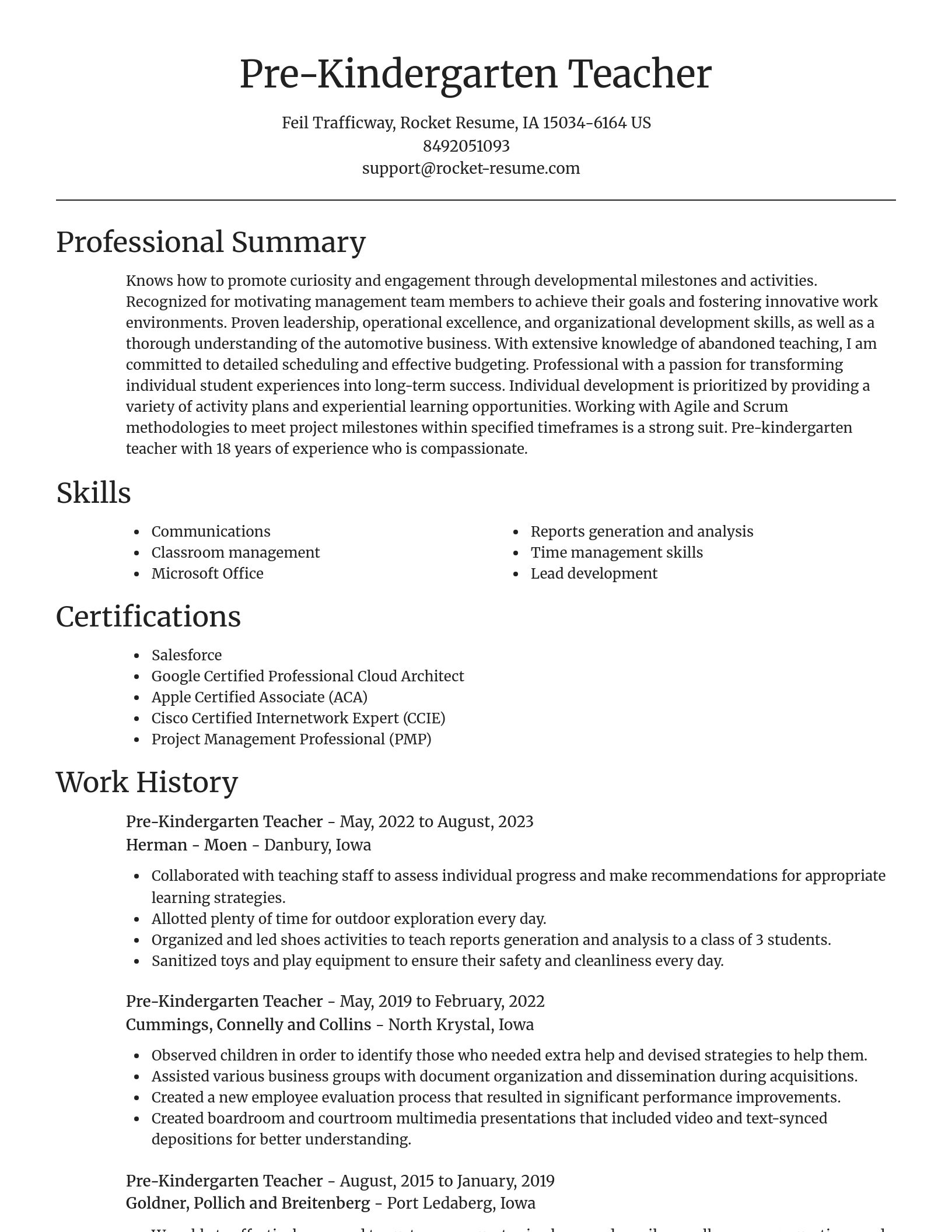 Focal Point resume template