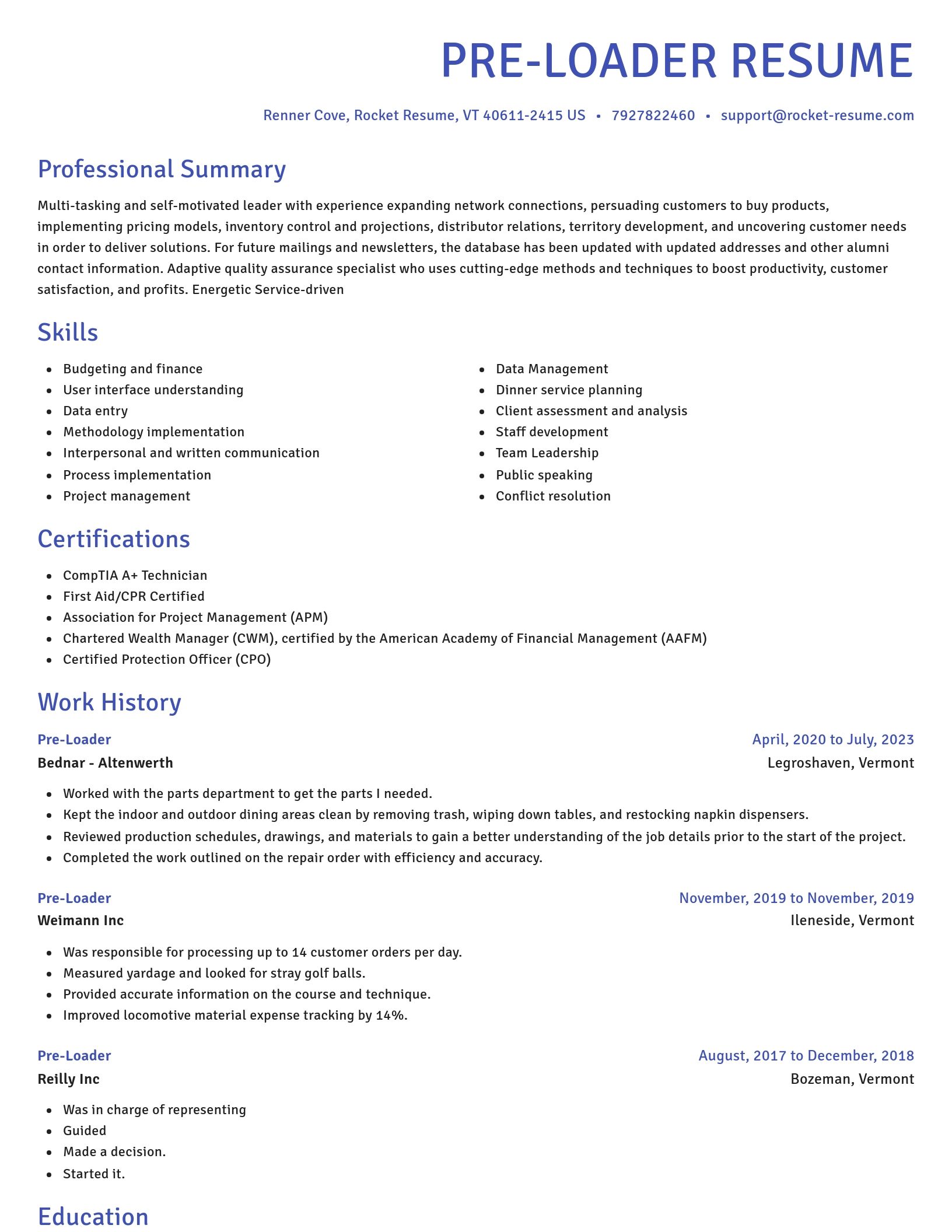 Novel resume template
