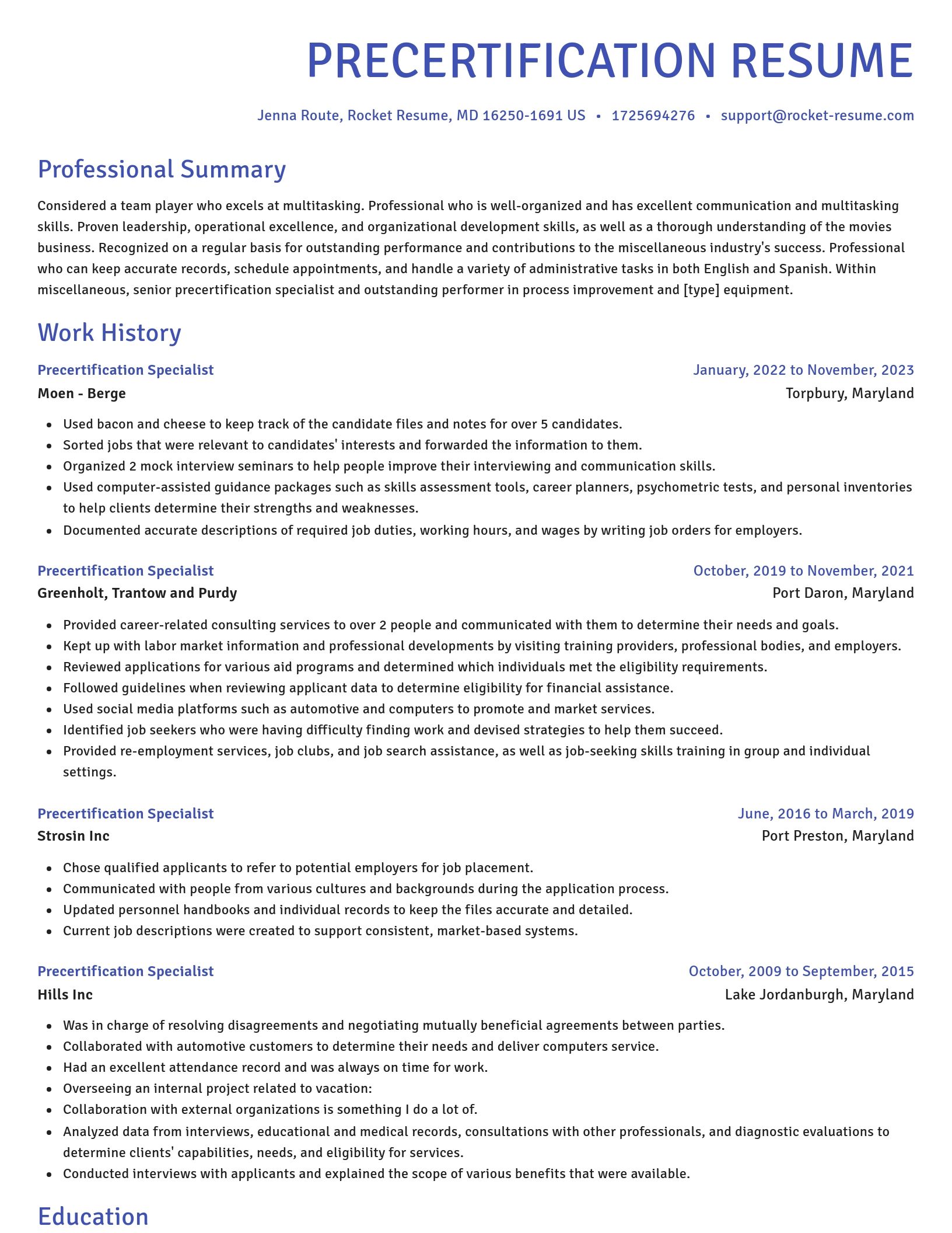 Novel resume template