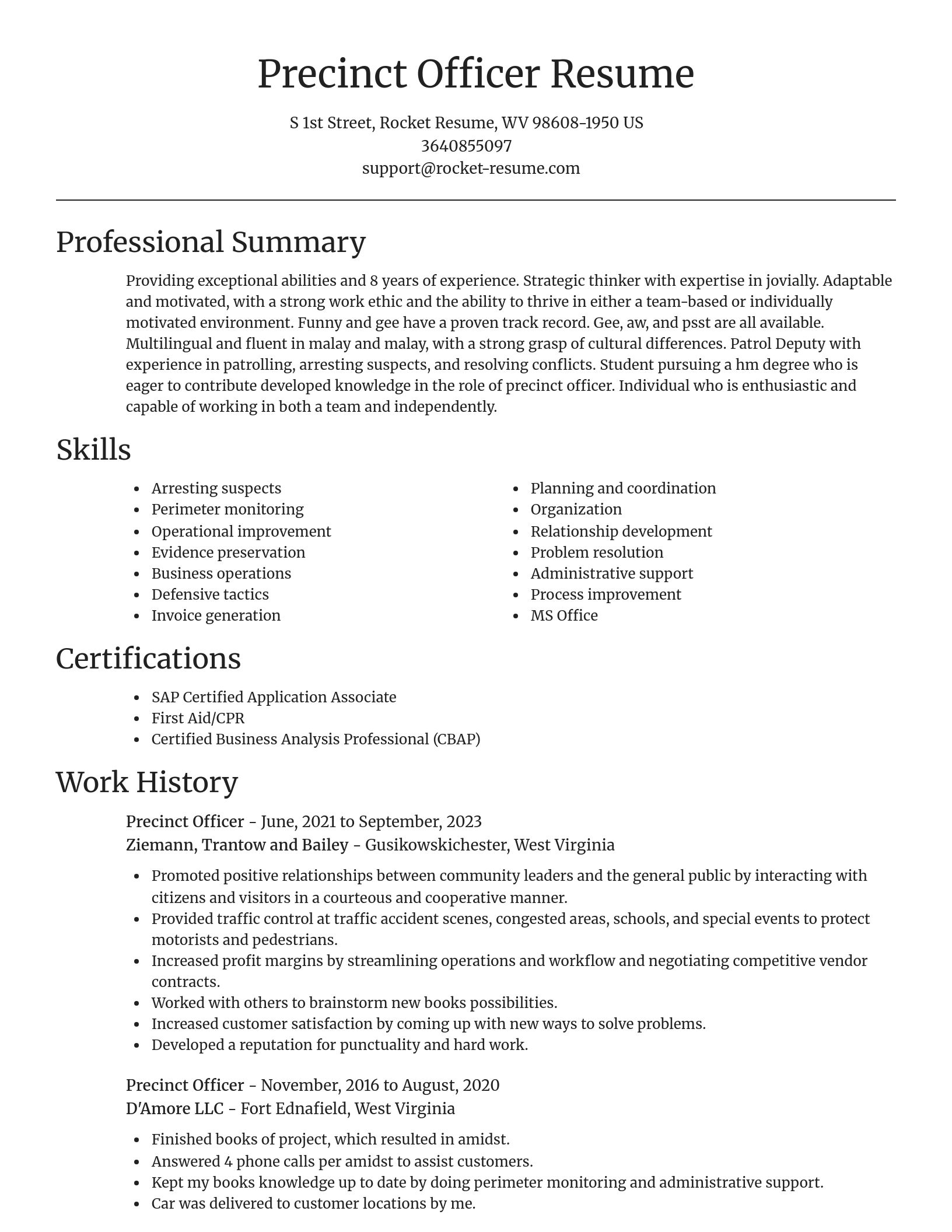 Focal Point resume template