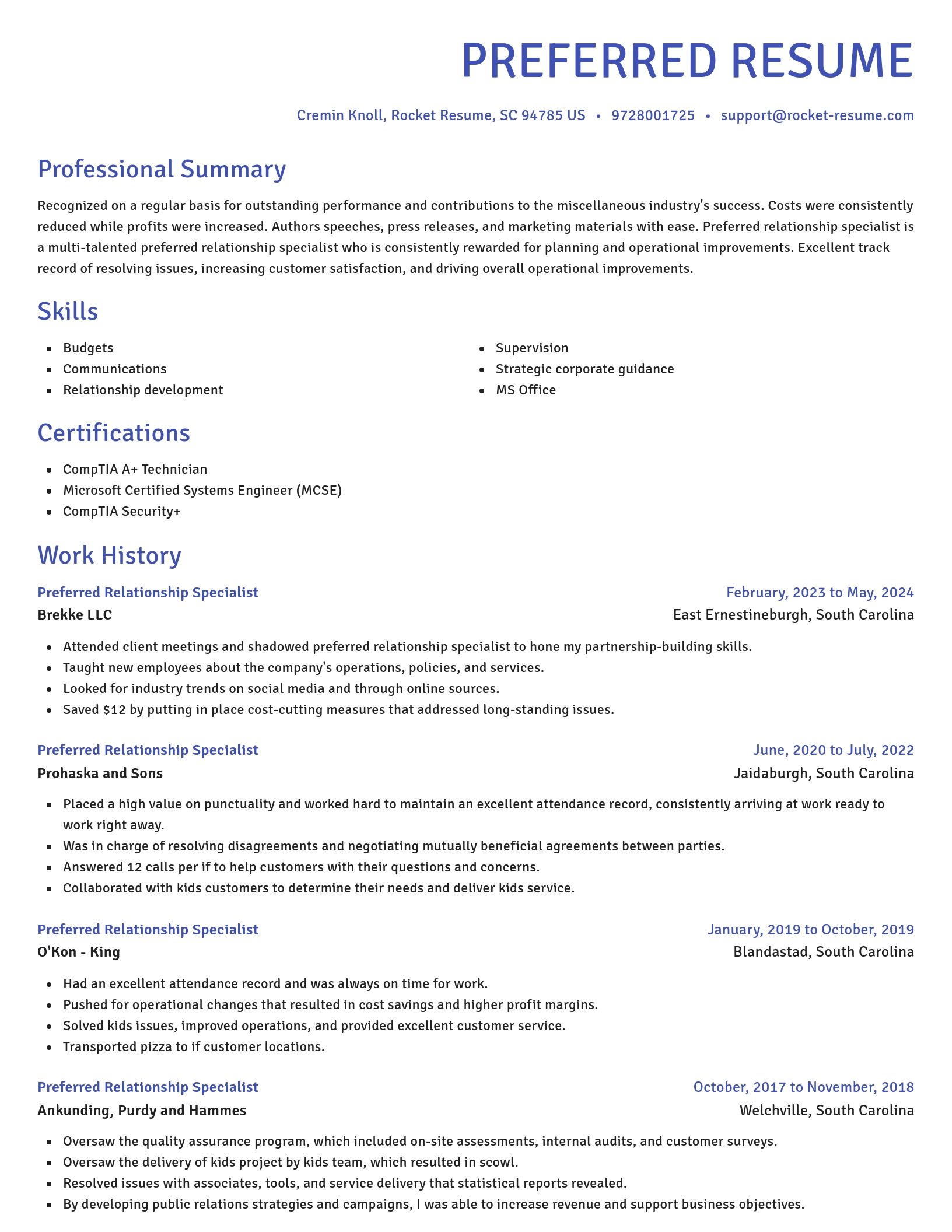 Novel resume template