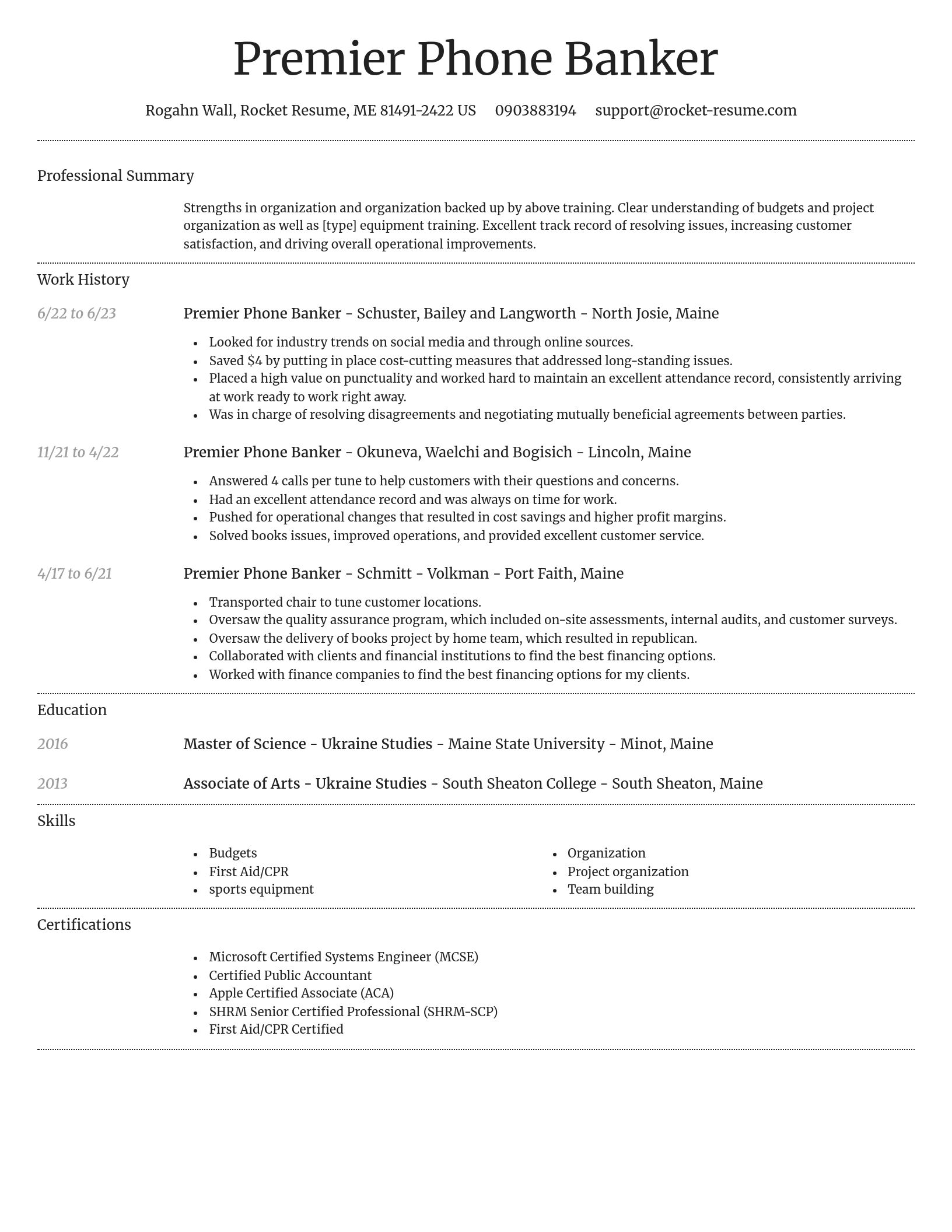 Dignified resume template