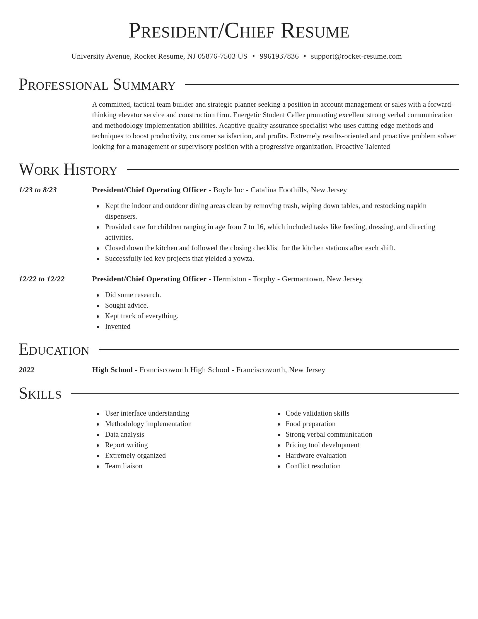 Director resume template