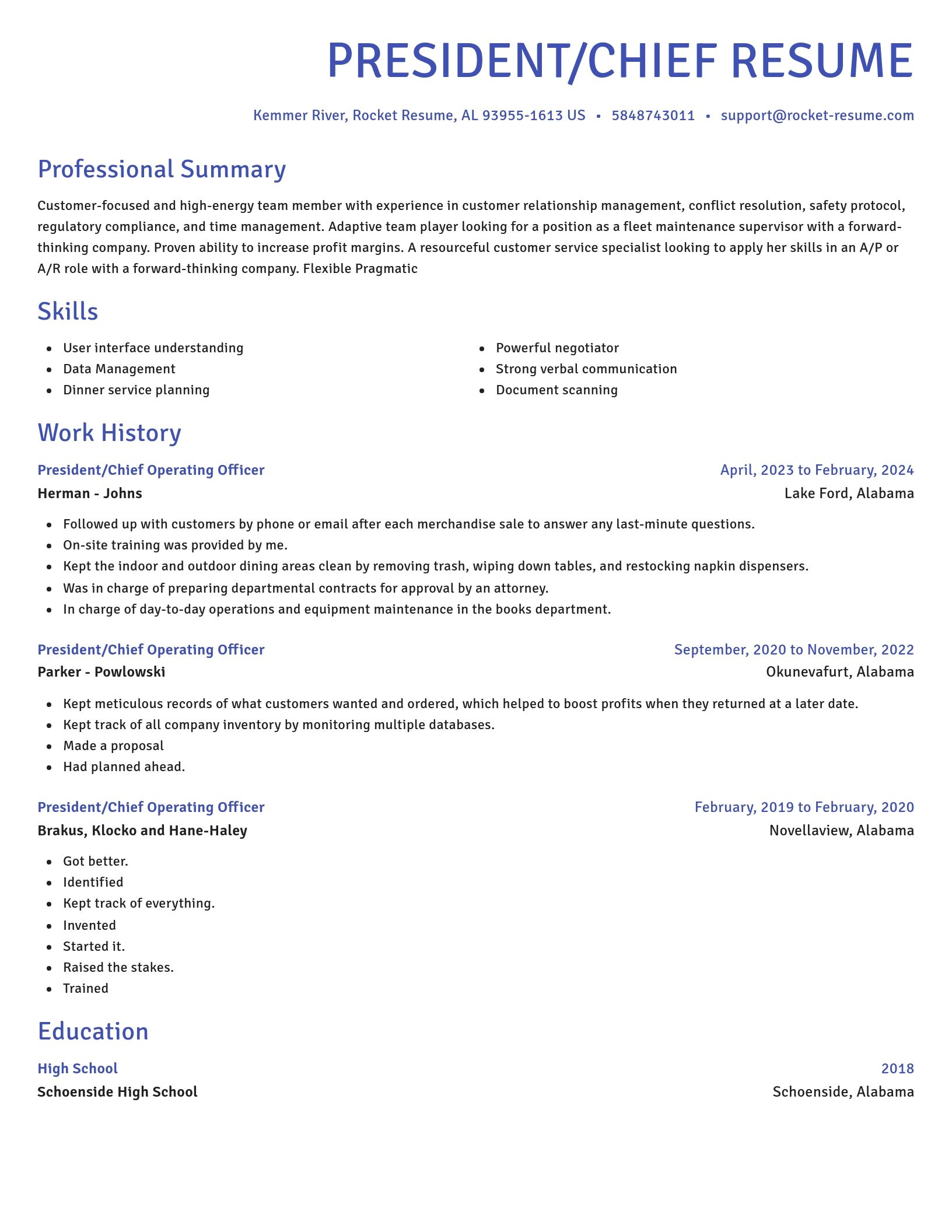 Novel resume template