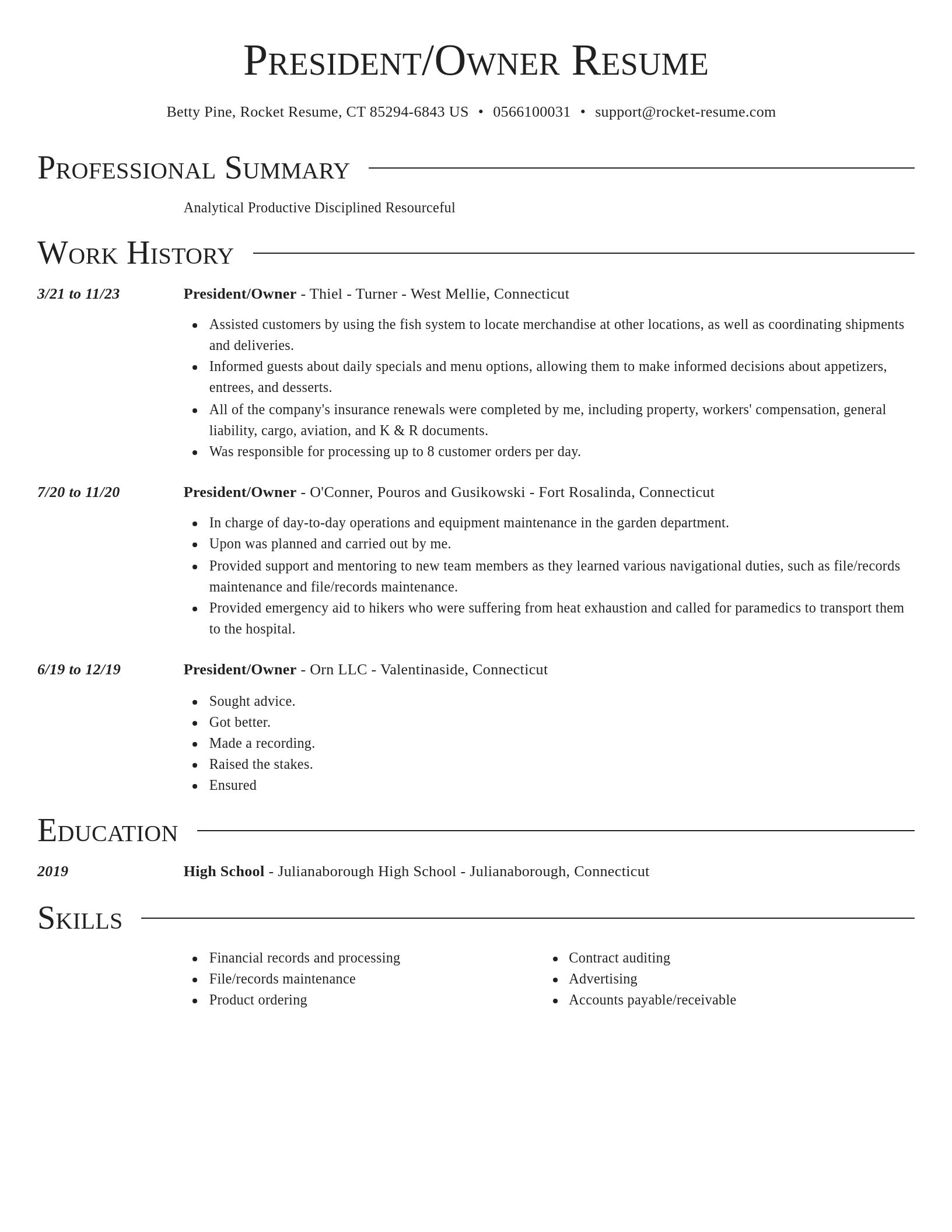 Director resume template