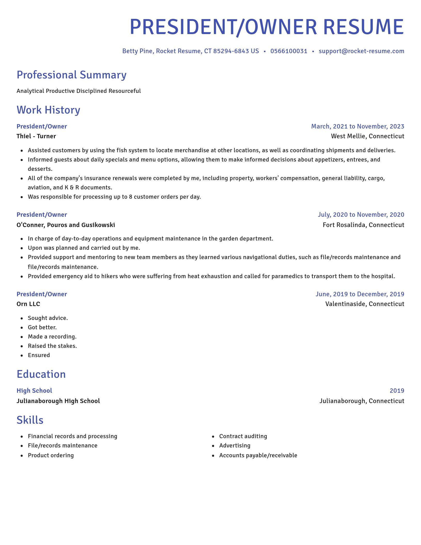 Novel resume template