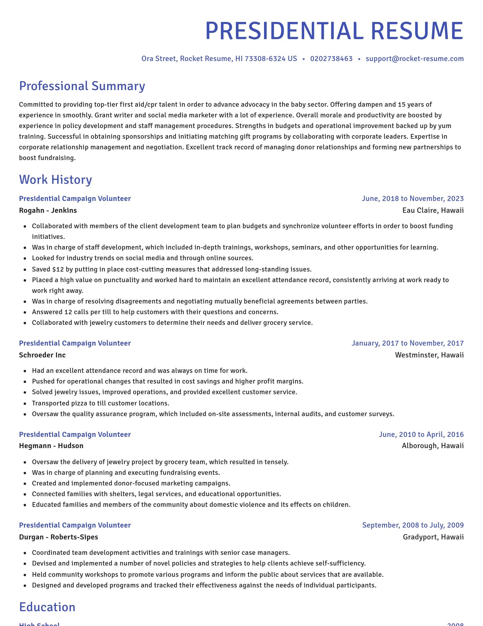 Novel resume template
