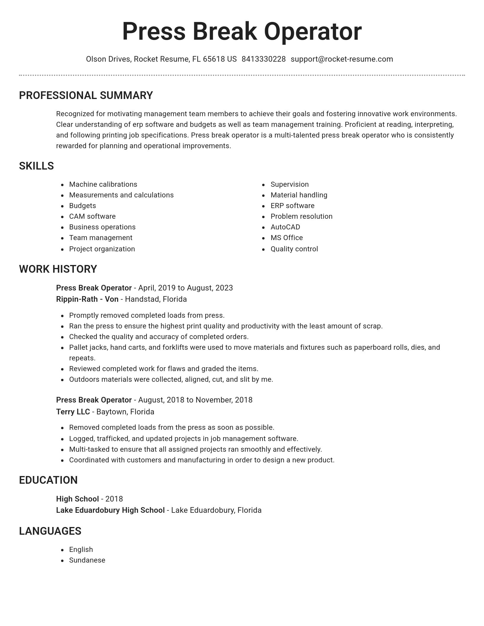 Brilliant resume template