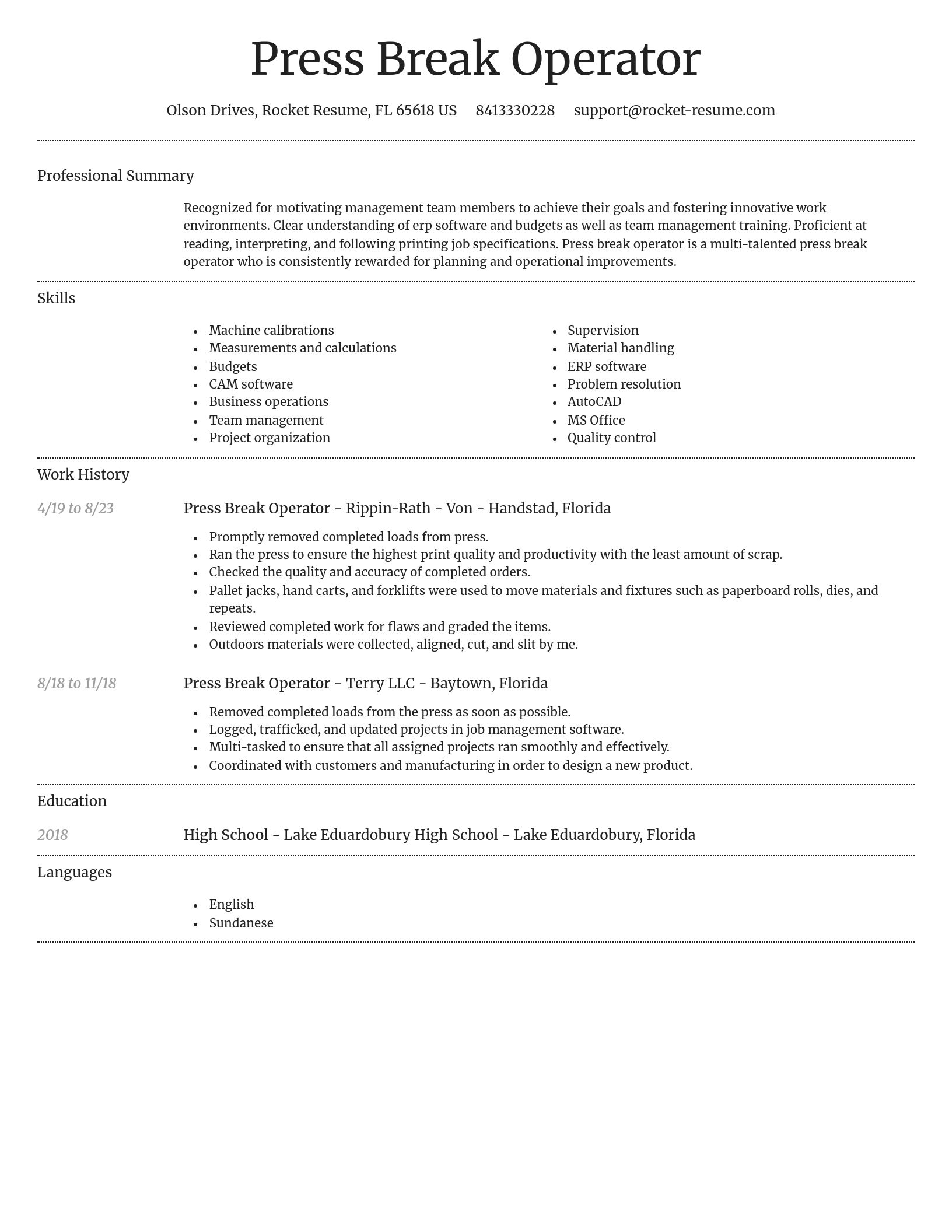 Dignified resume template