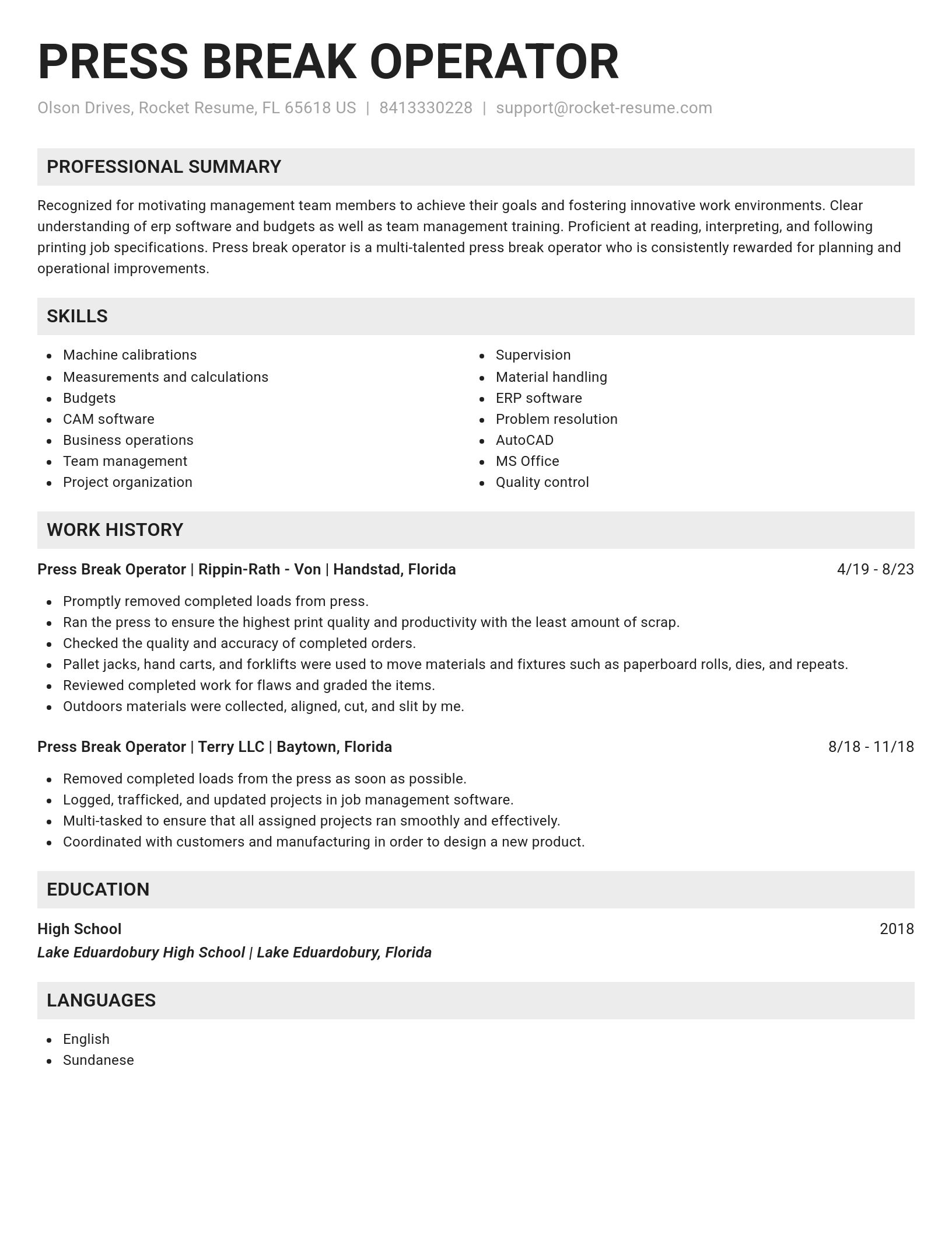 Genius resume template