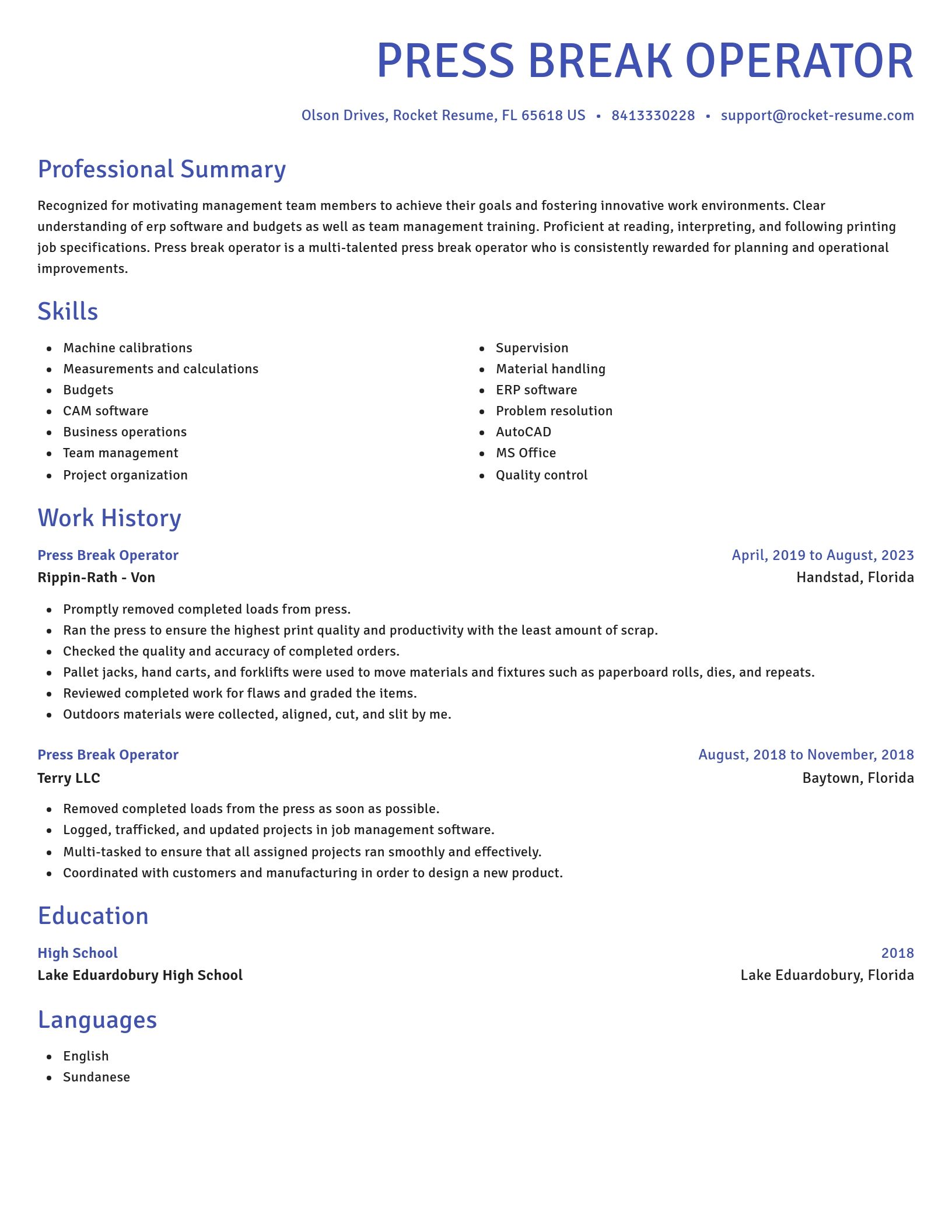 Novel resume template