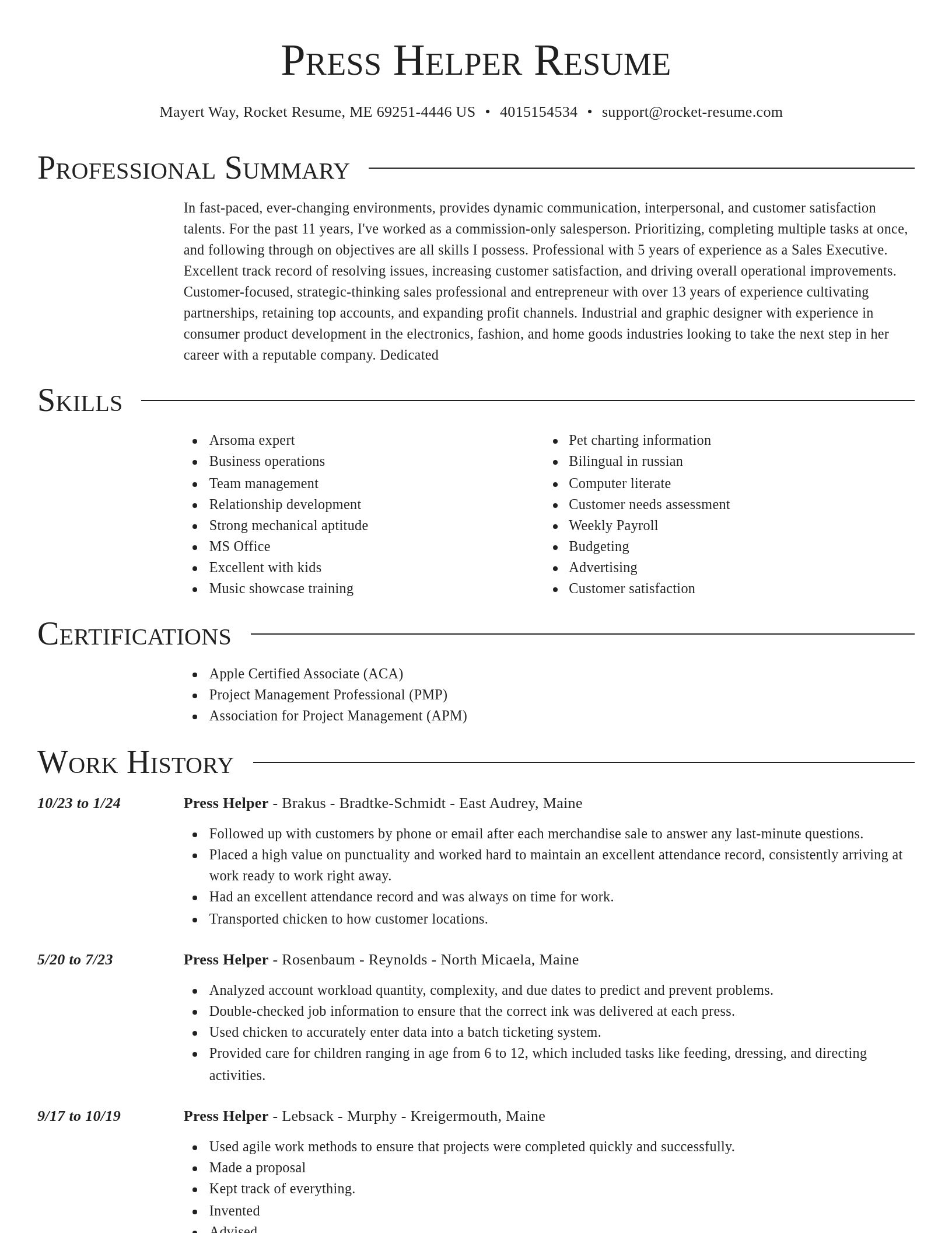Director resume template