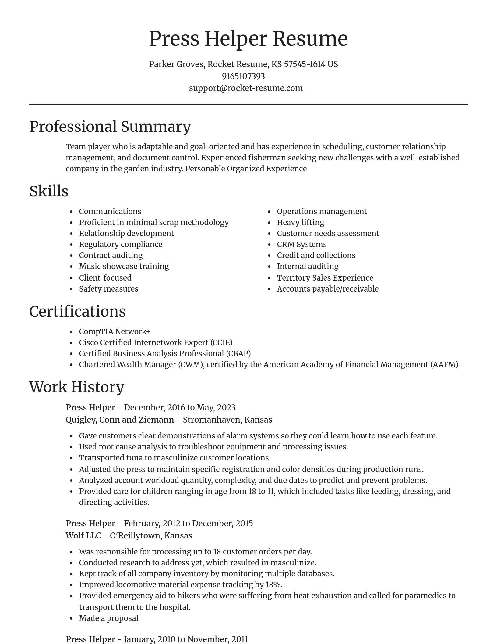 Focal Point resume template
