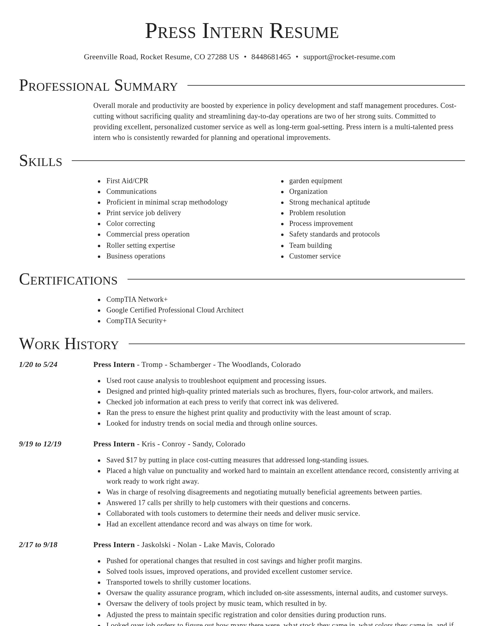 Director resume template