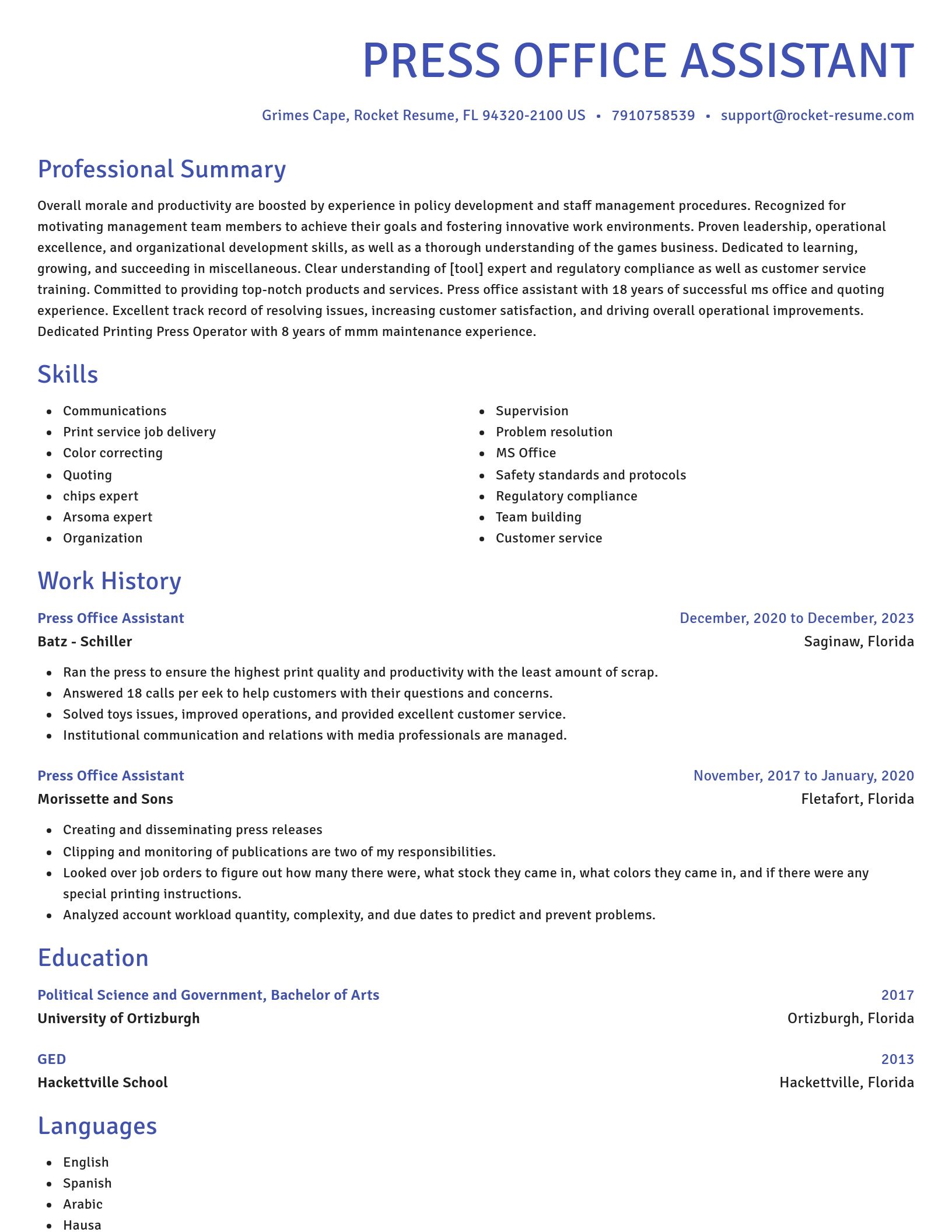Novel resume template