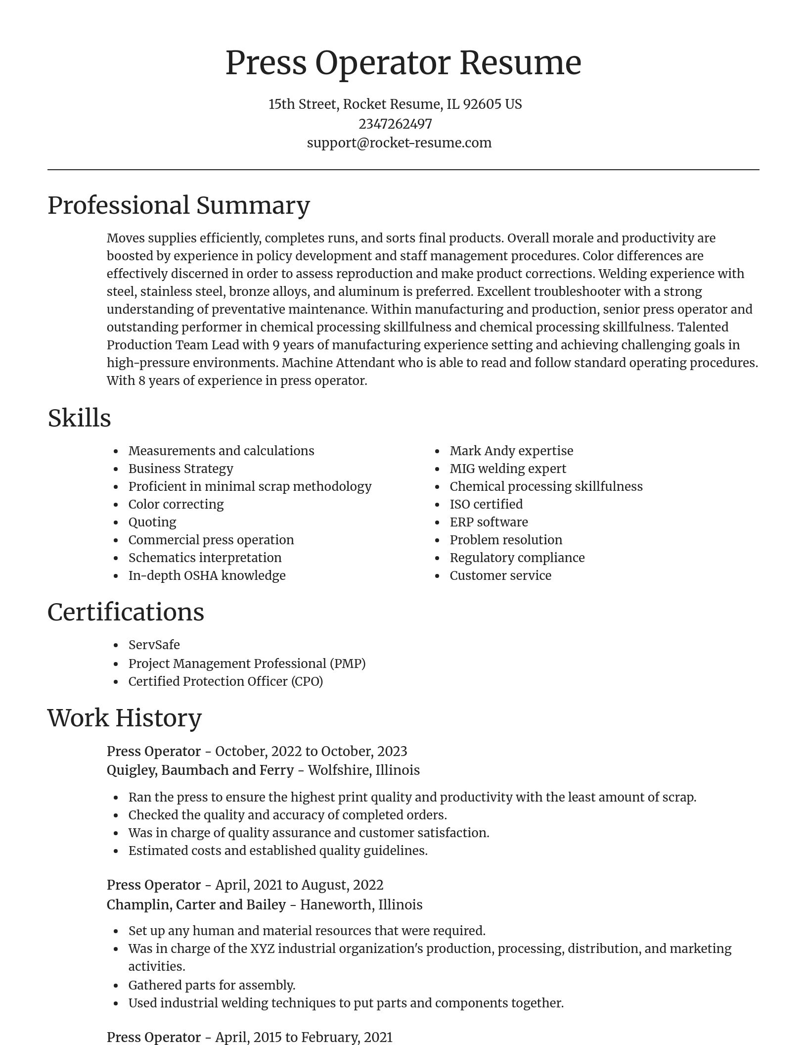Focal Point resume template