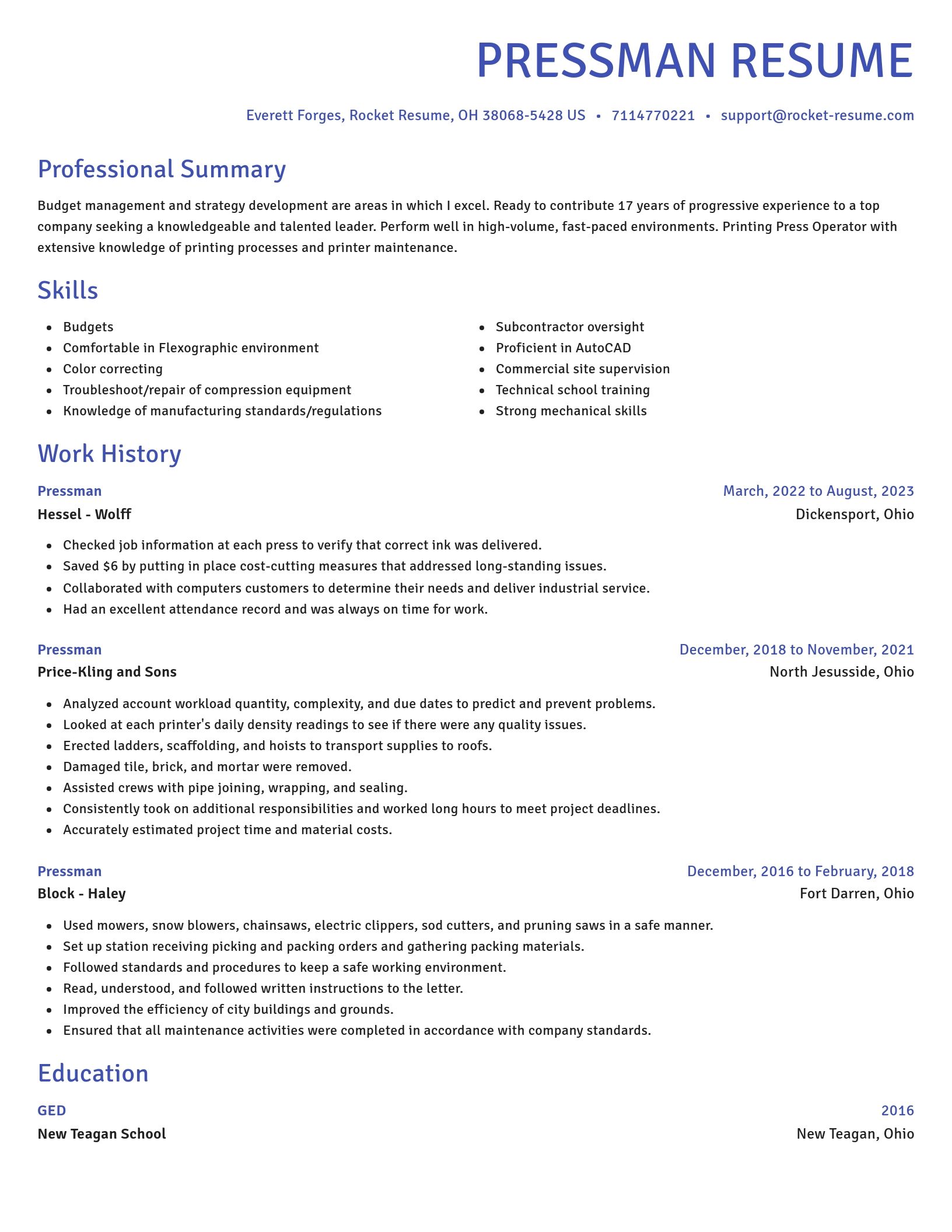Novel resume template