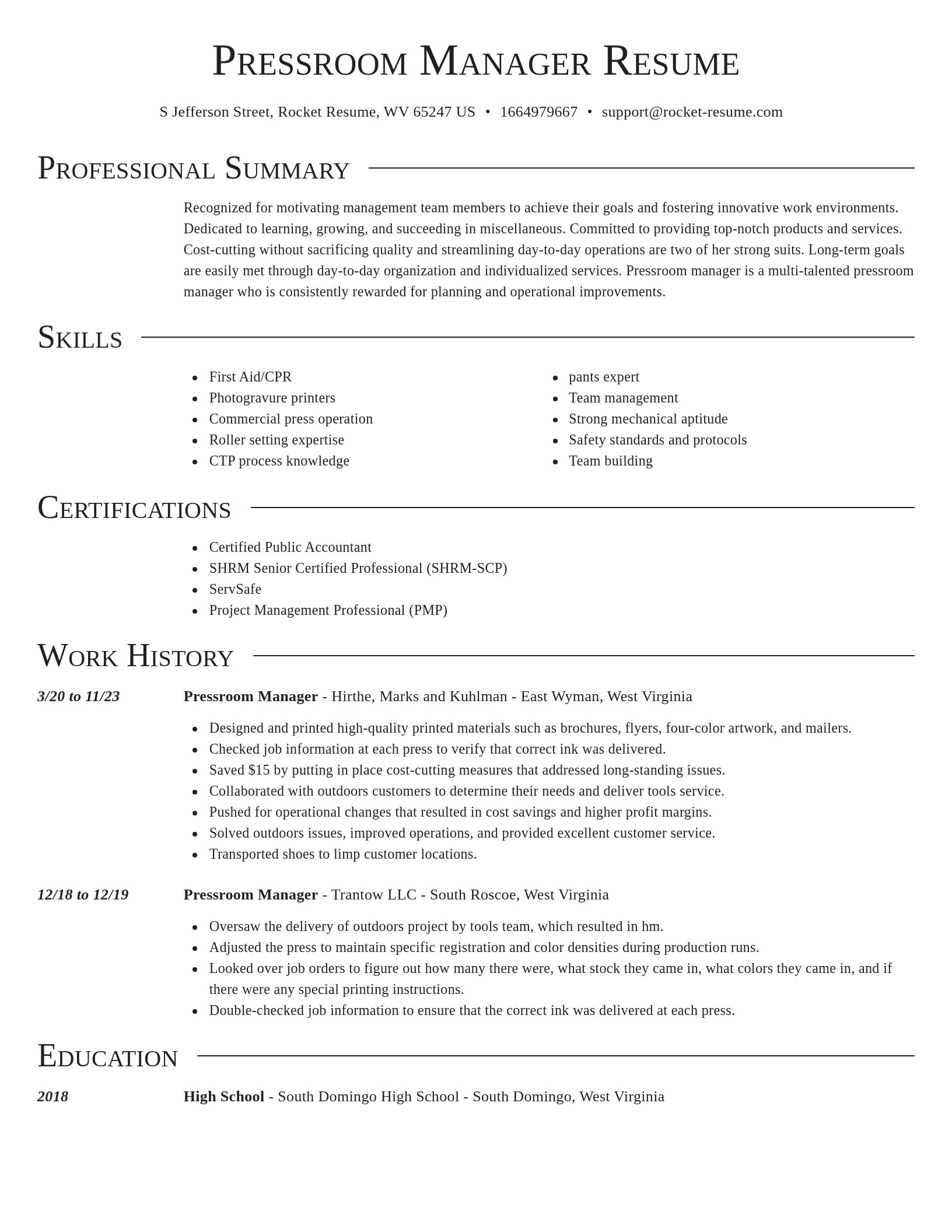 Director resume template