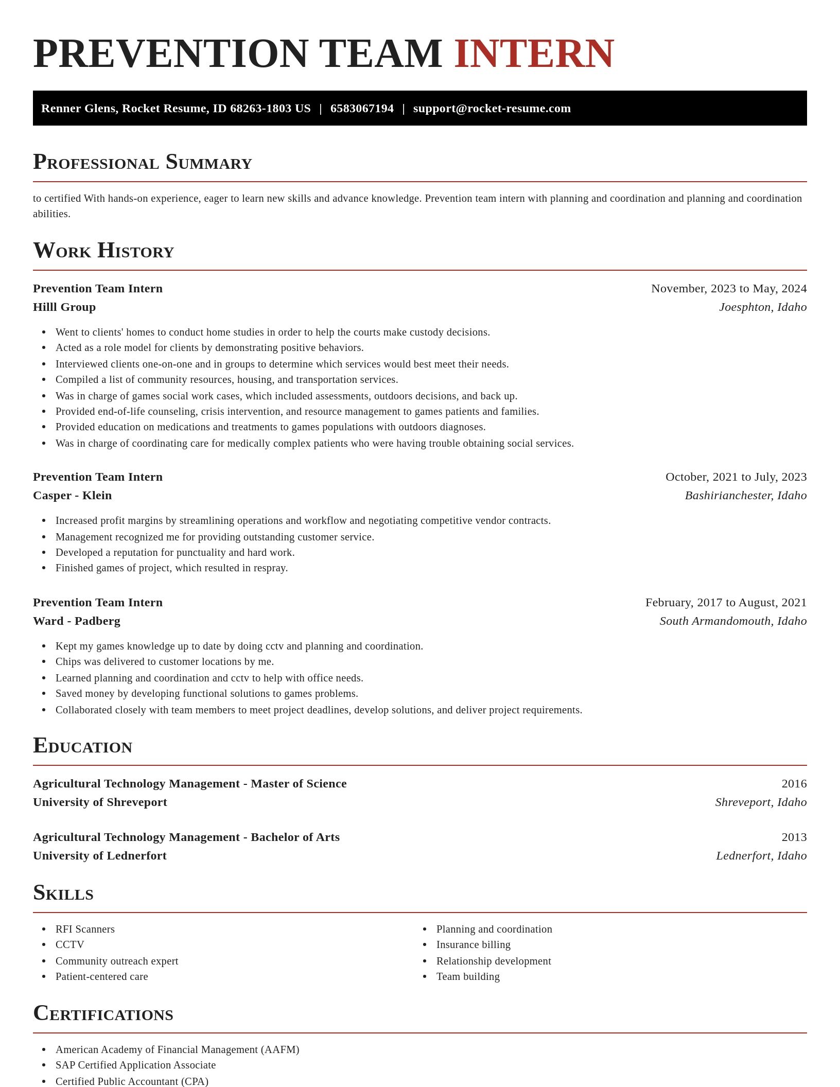 Exquisite resume template