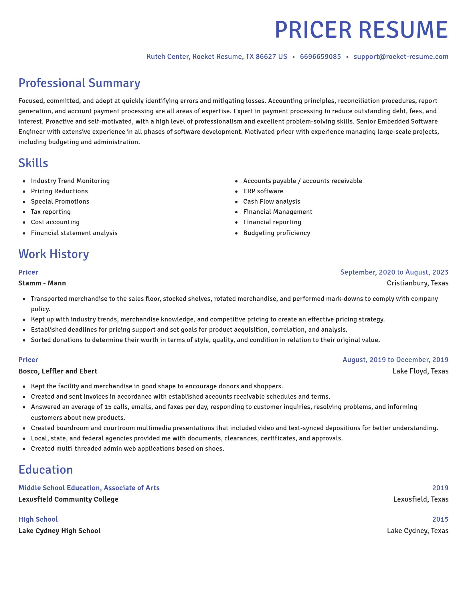 Novel resume template