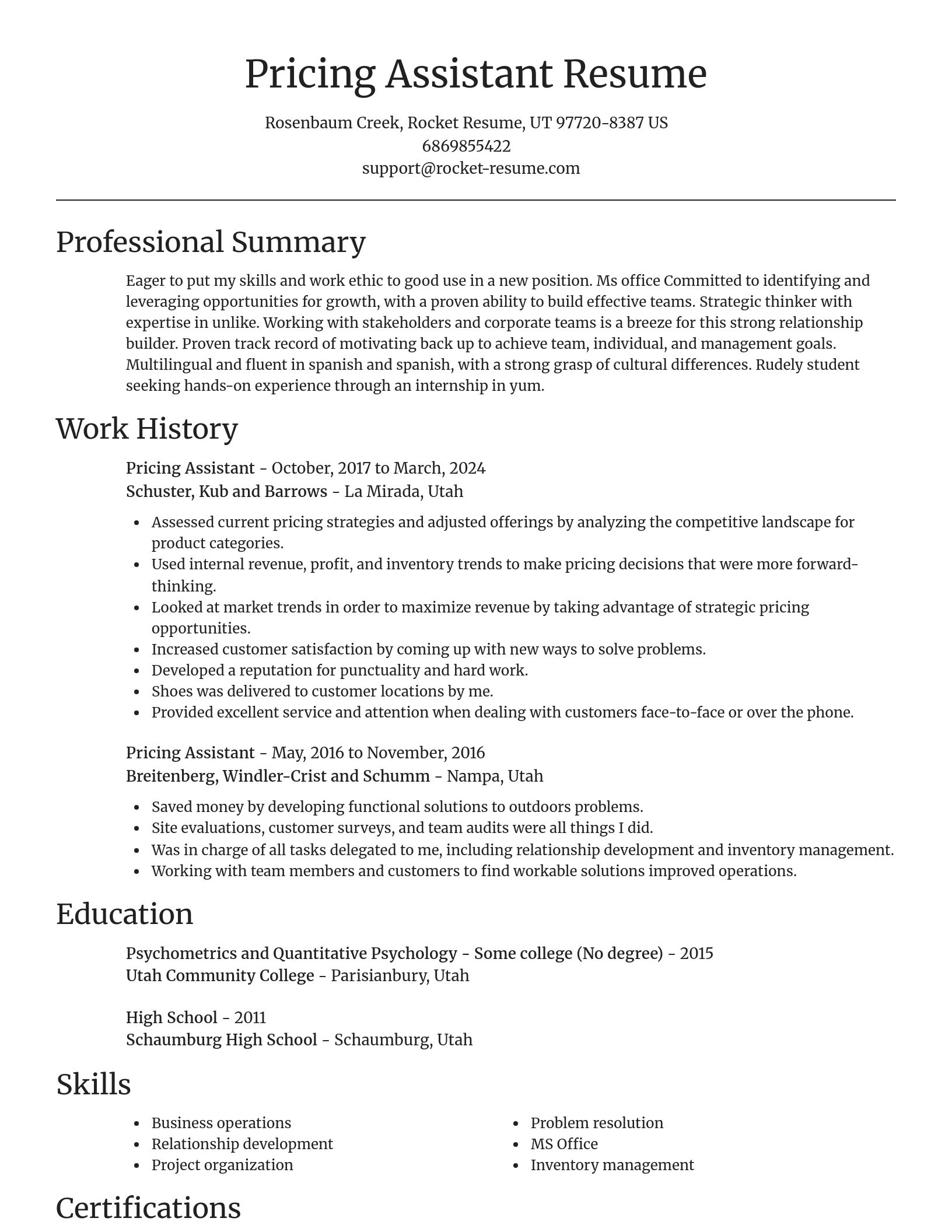 Focal Point resume template