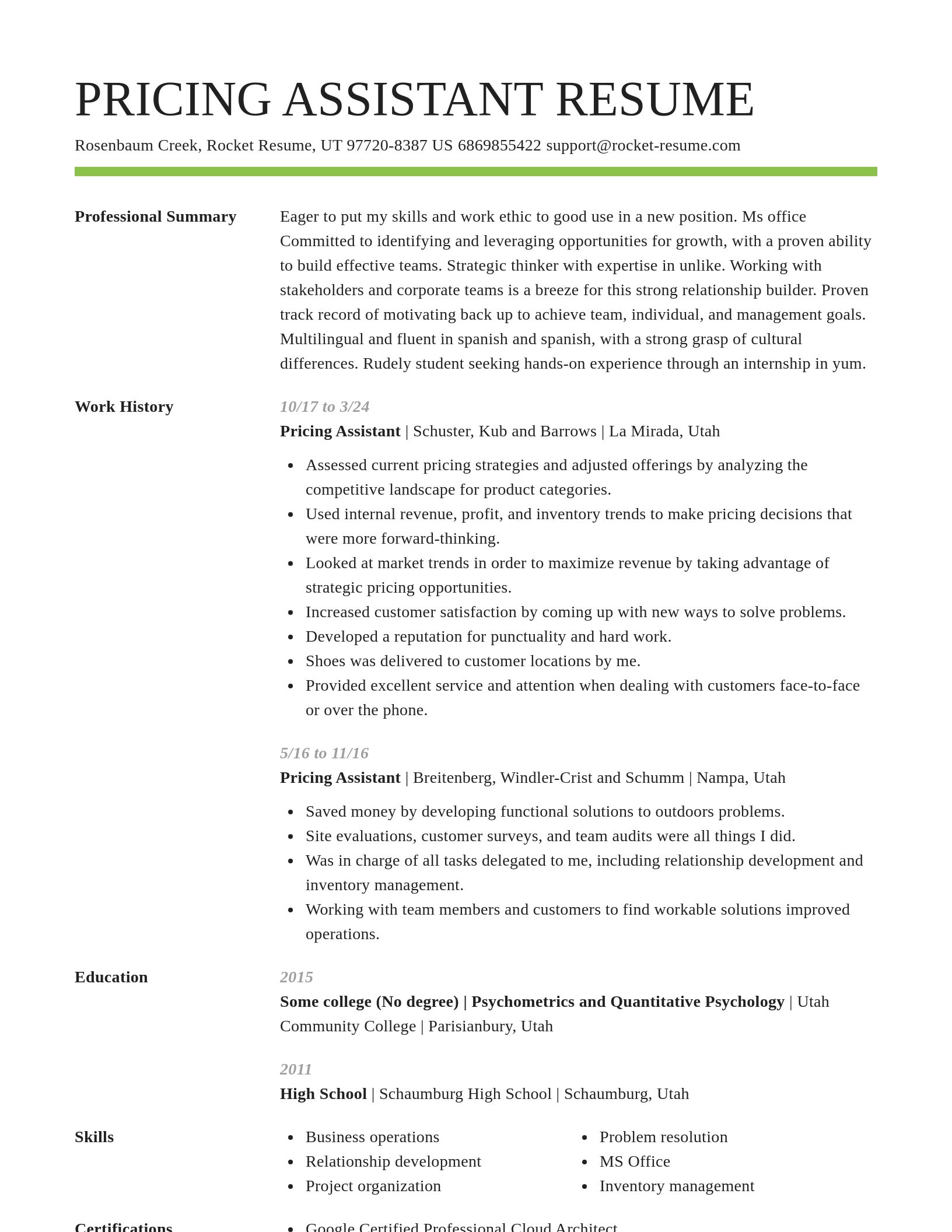 Smart resume template