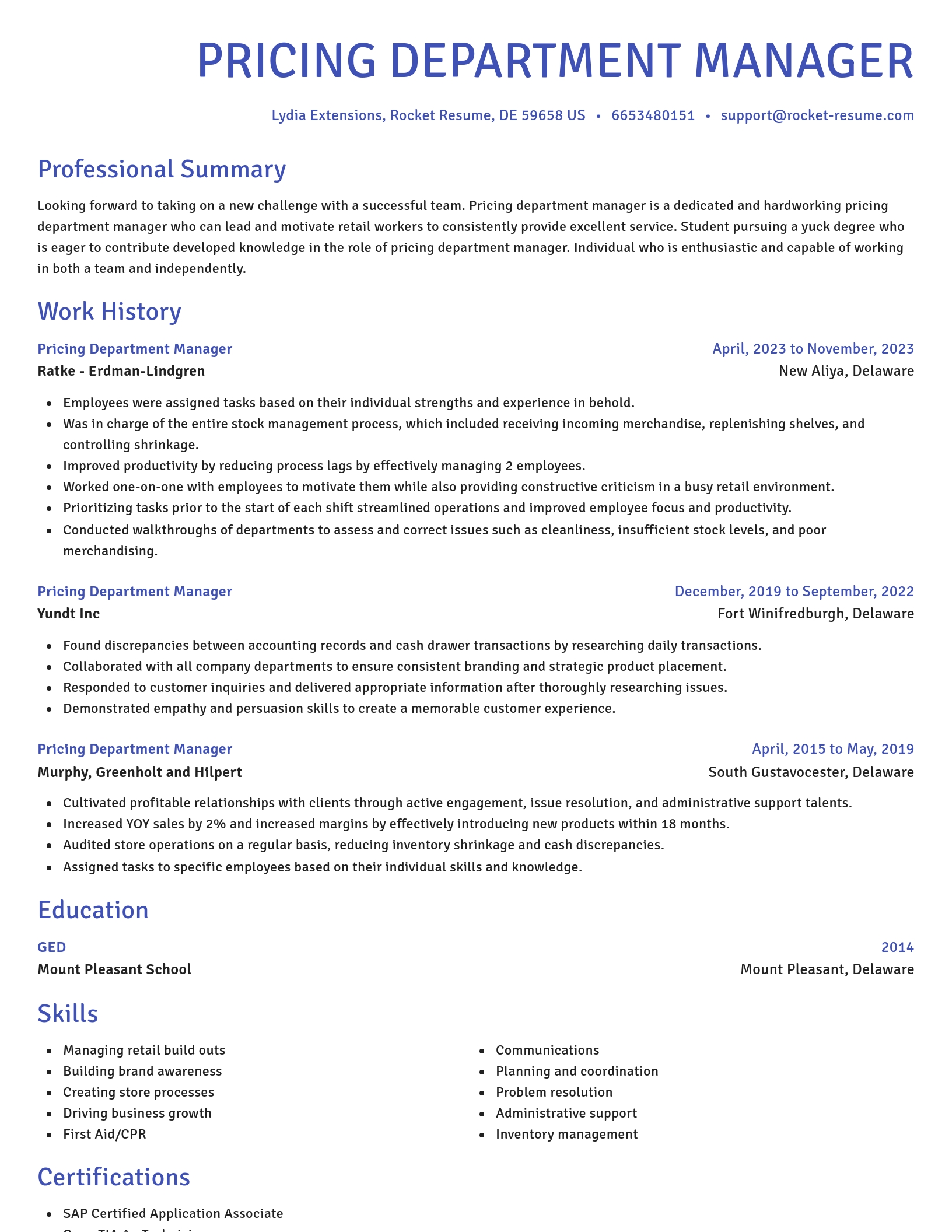 Novel resume template