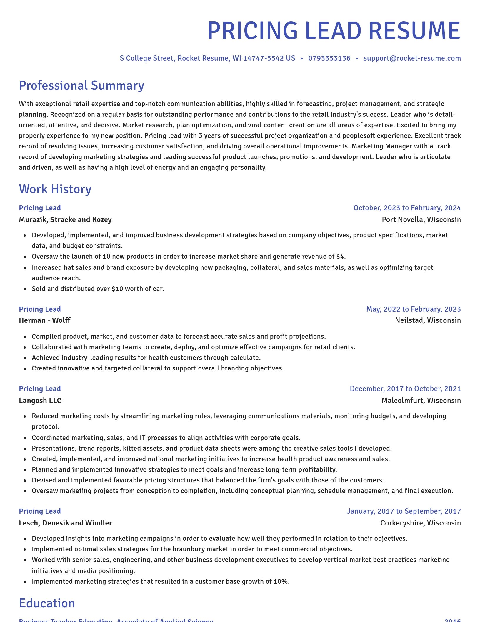 Novel resume template