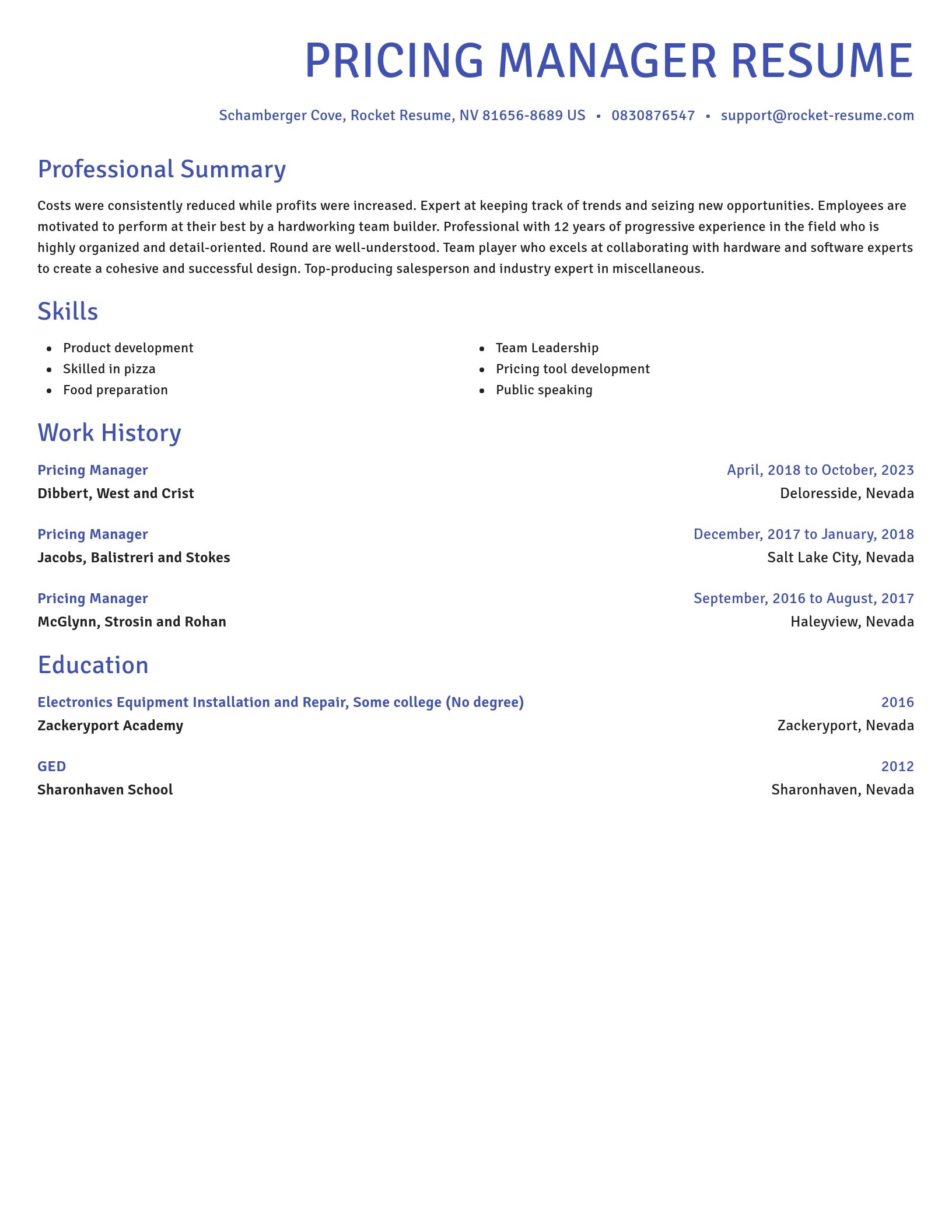 Novel resume template